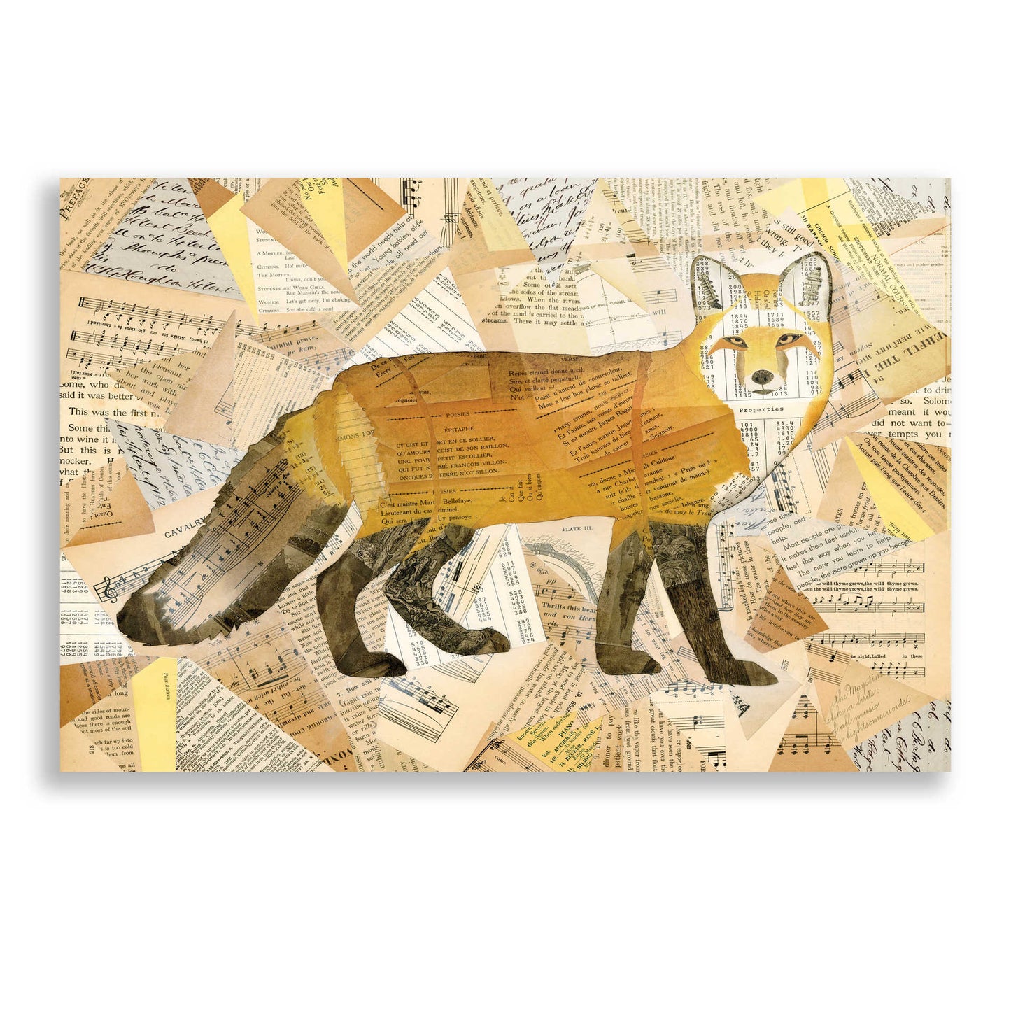 Epic Art 'Red Fox Collage I' by Nikki Galapon, Acrylic Glass Wall Art,24x16