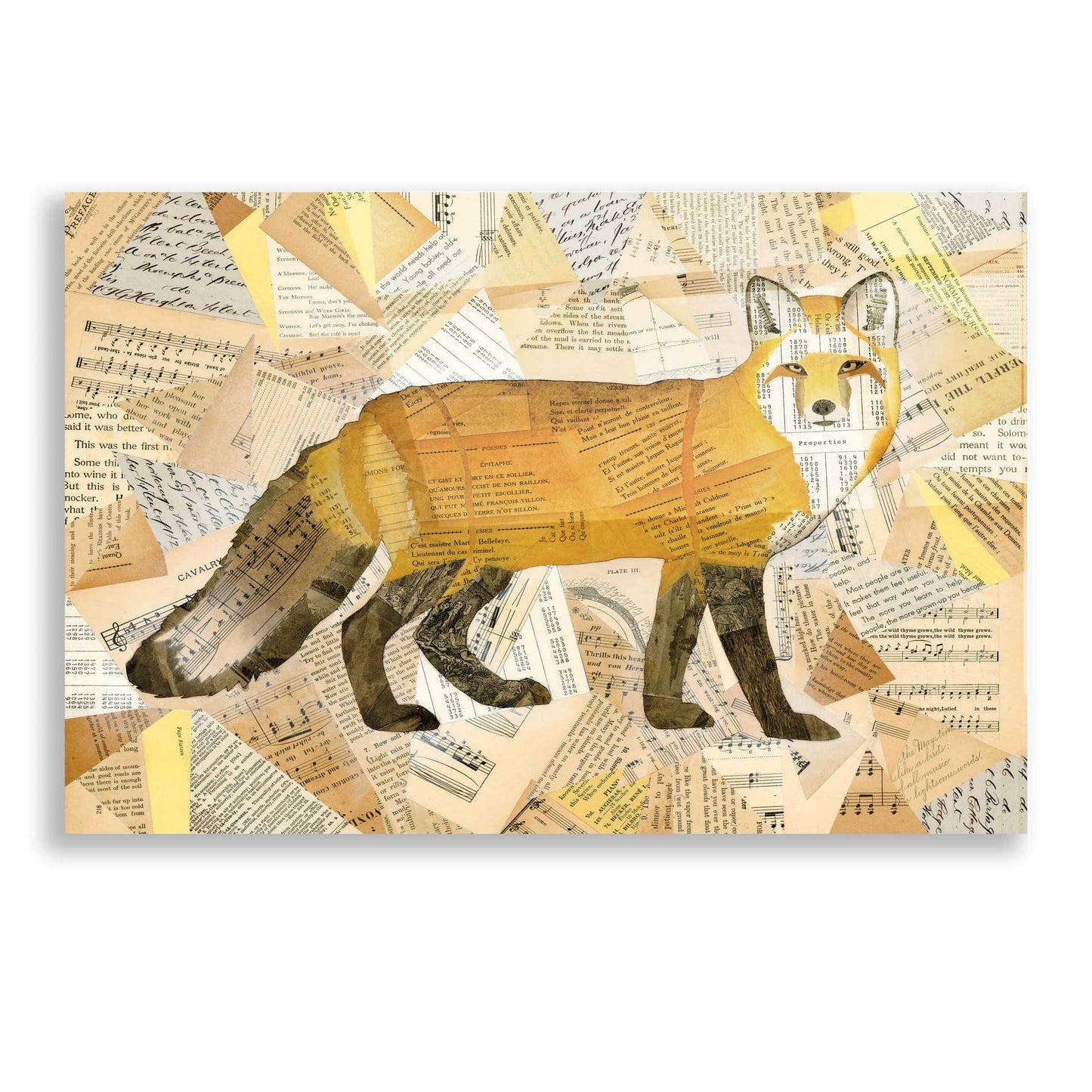 Epic Art 'Red Fox Collage I' by Nikki Galapon, Acrylic Glass Wall Art