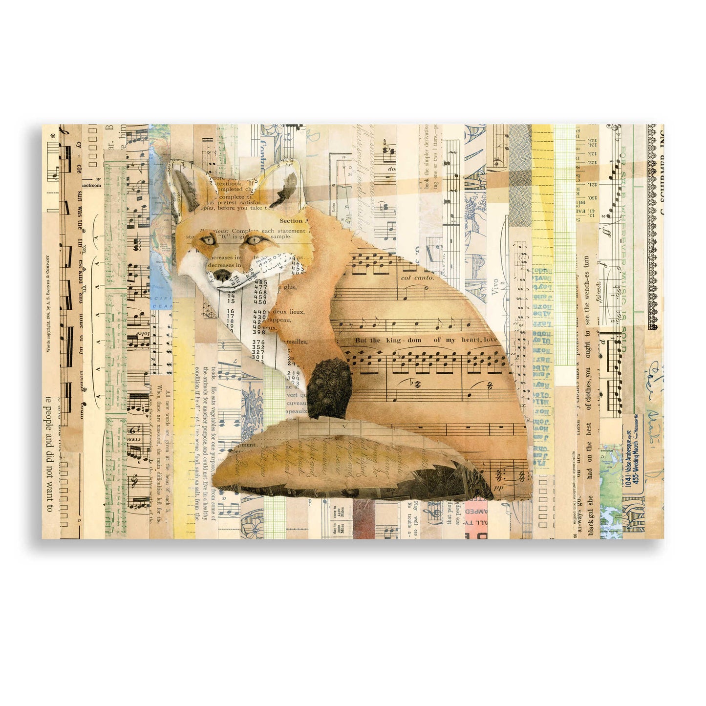 Epic Art 'Red Fox Collage II' by Nikki Galapon, Acrylic Glass Wall Art