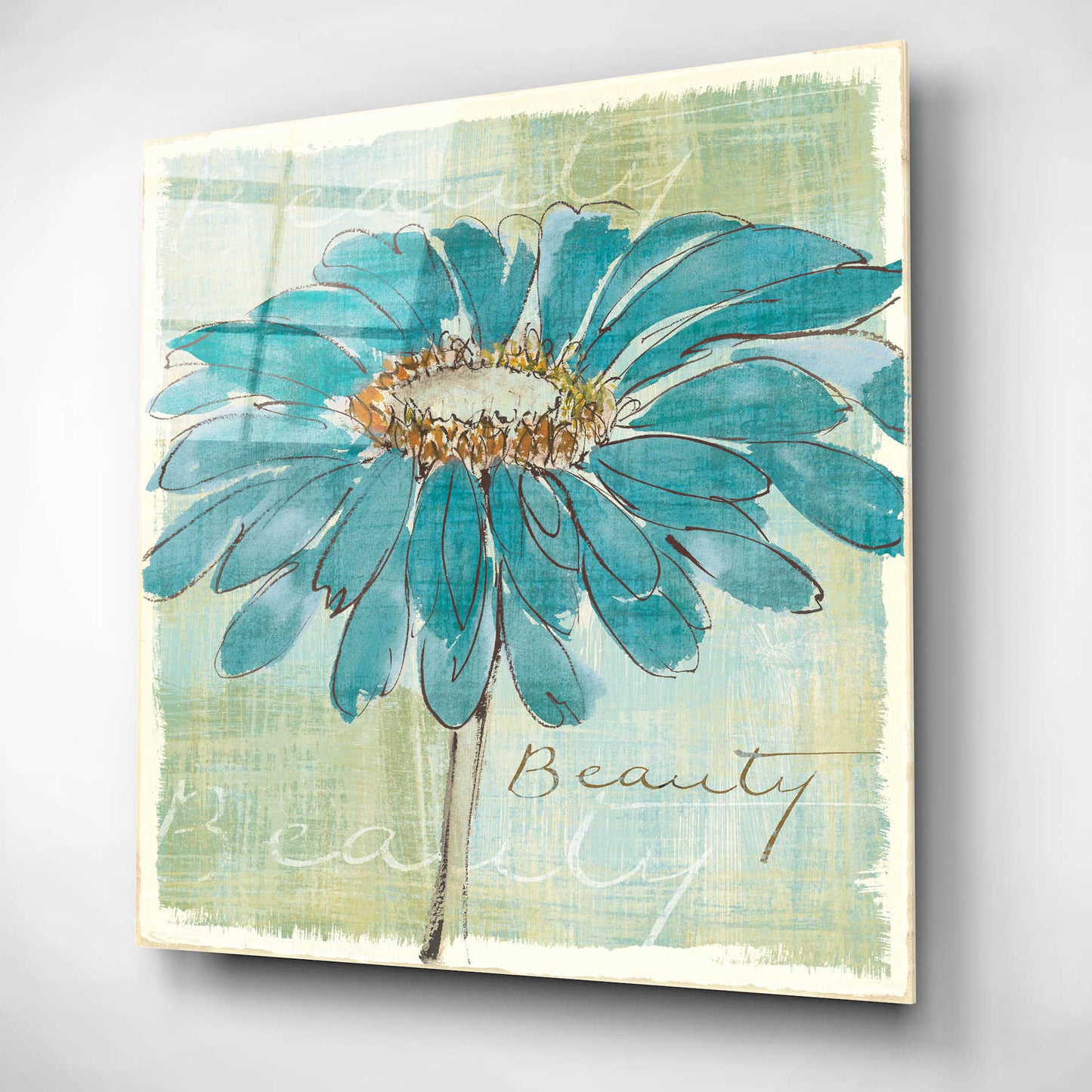 Epic Art 'Spa Daisies I' by Chris Paschke, Acrylic Glass Wall Art,12x12