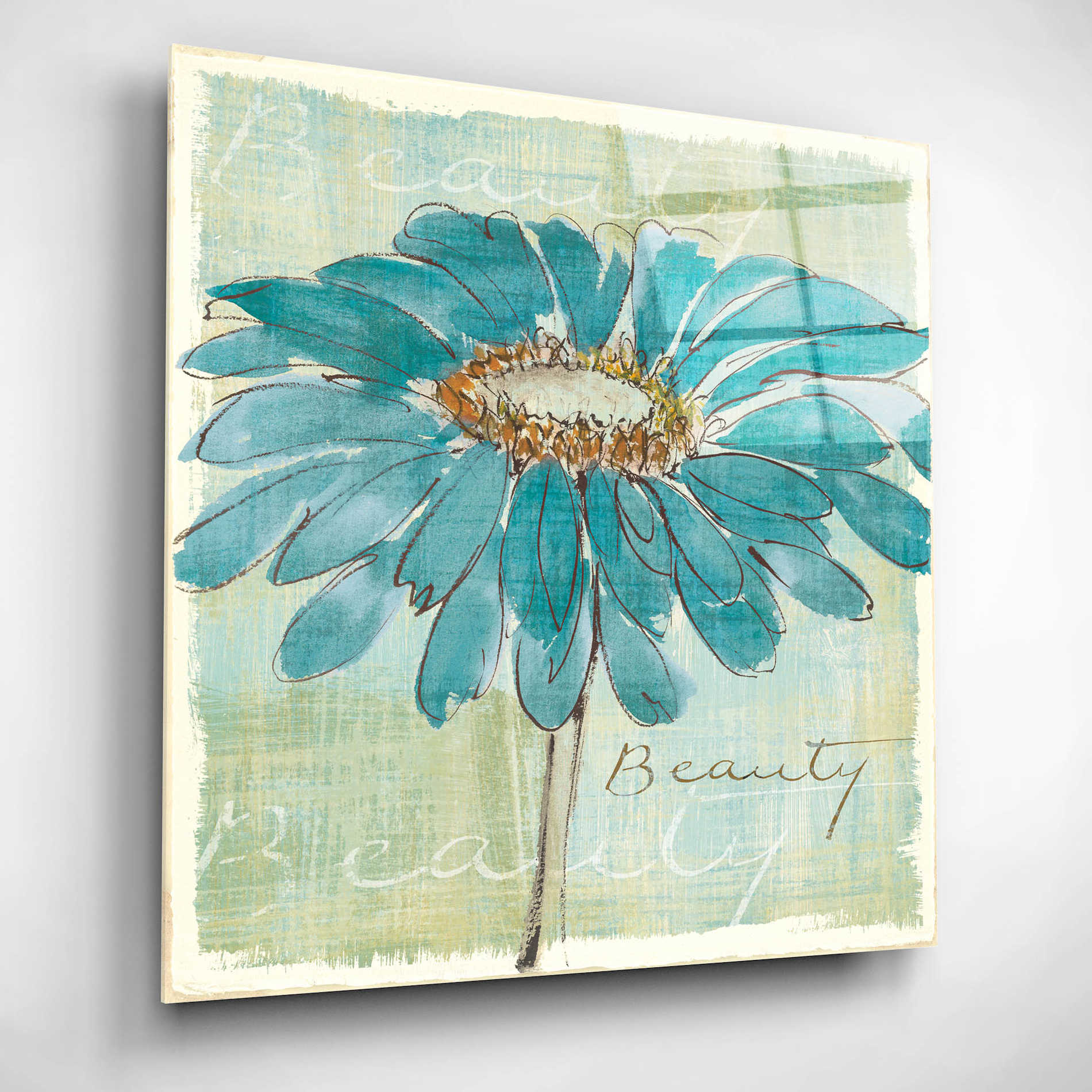 Epic Art 'Spa Daisies I' by Chris Paschke, Acrylic Glass Wall Art,12x12