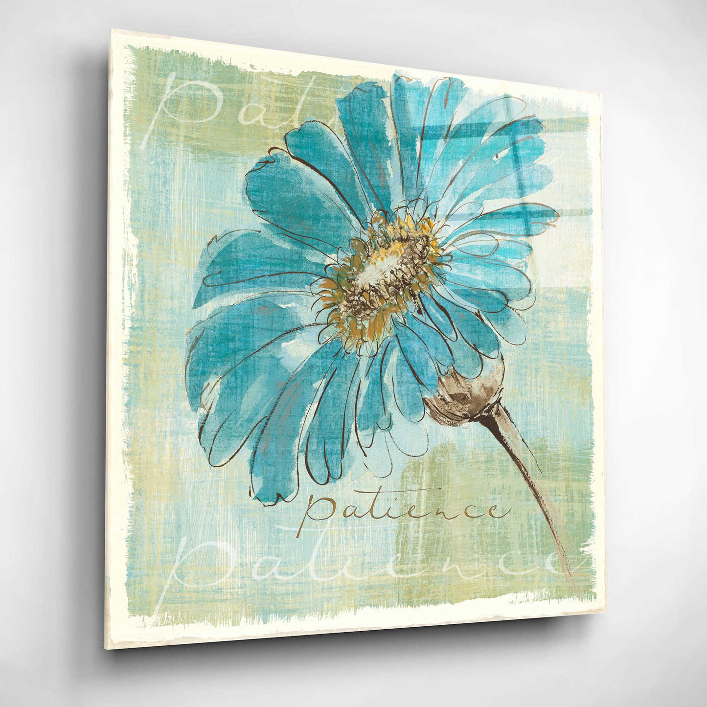 Epic Art 'Spa Daisies II' by Chris Paschke, Acrylic Glass Wall Art,12x12