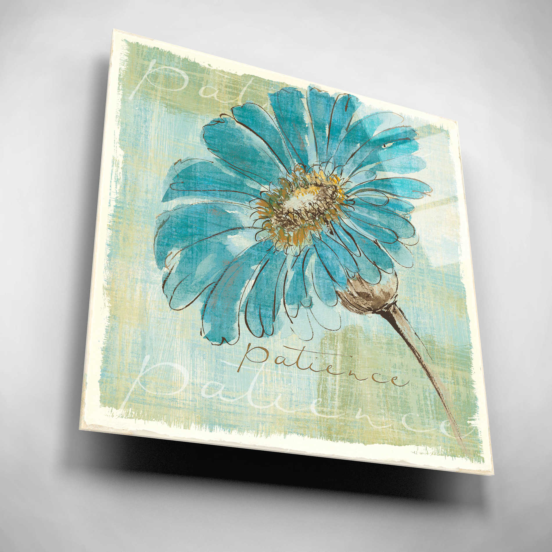 Epic Art 'Spa Daisies II' by Chris Paschke, Acrylic Glass Wall Art,12x12