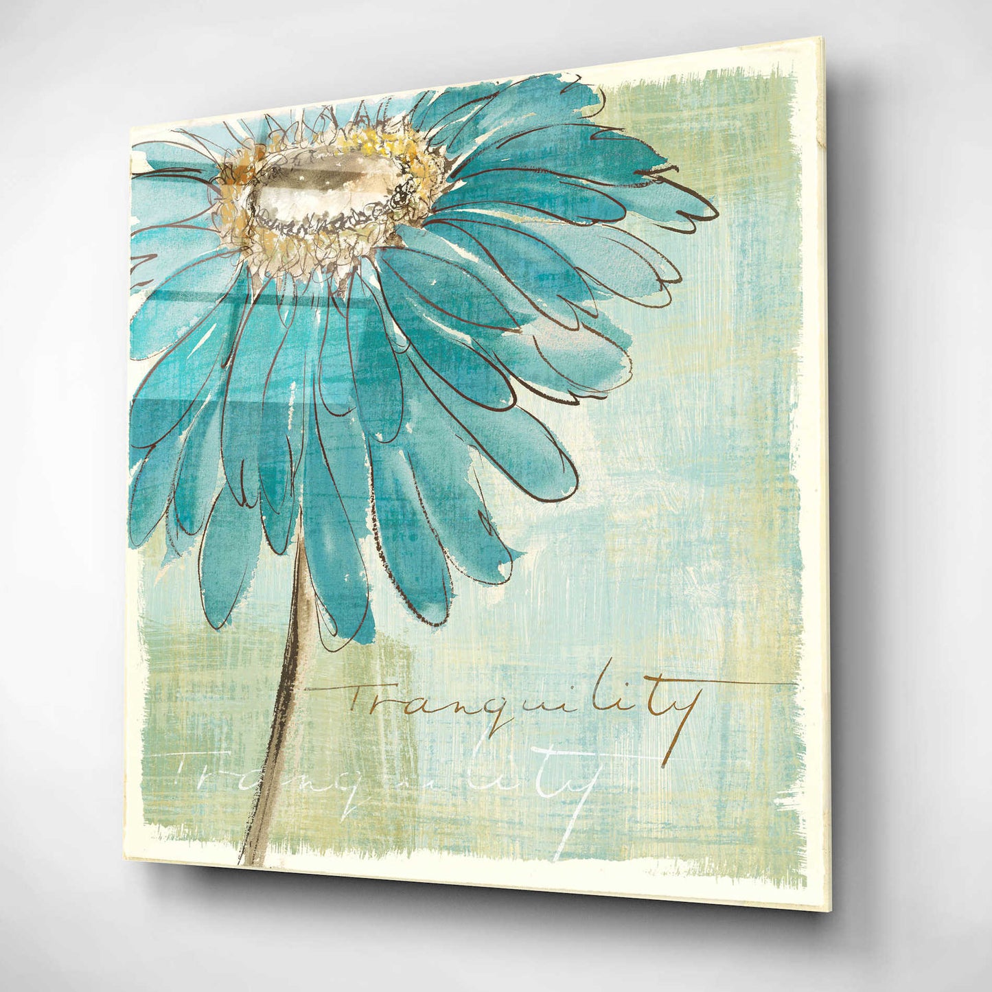 Epic Art 'Spa Daisies III' by Chris Paschke, Acrylic Glass Wall Art,12x12