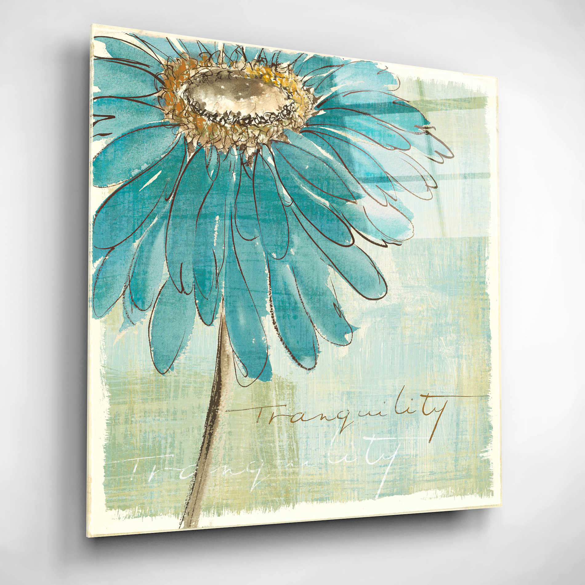 Epic Art 'Spa Daisies III' by Chris Paschke, Acrylic Glass Wall Art,12x12