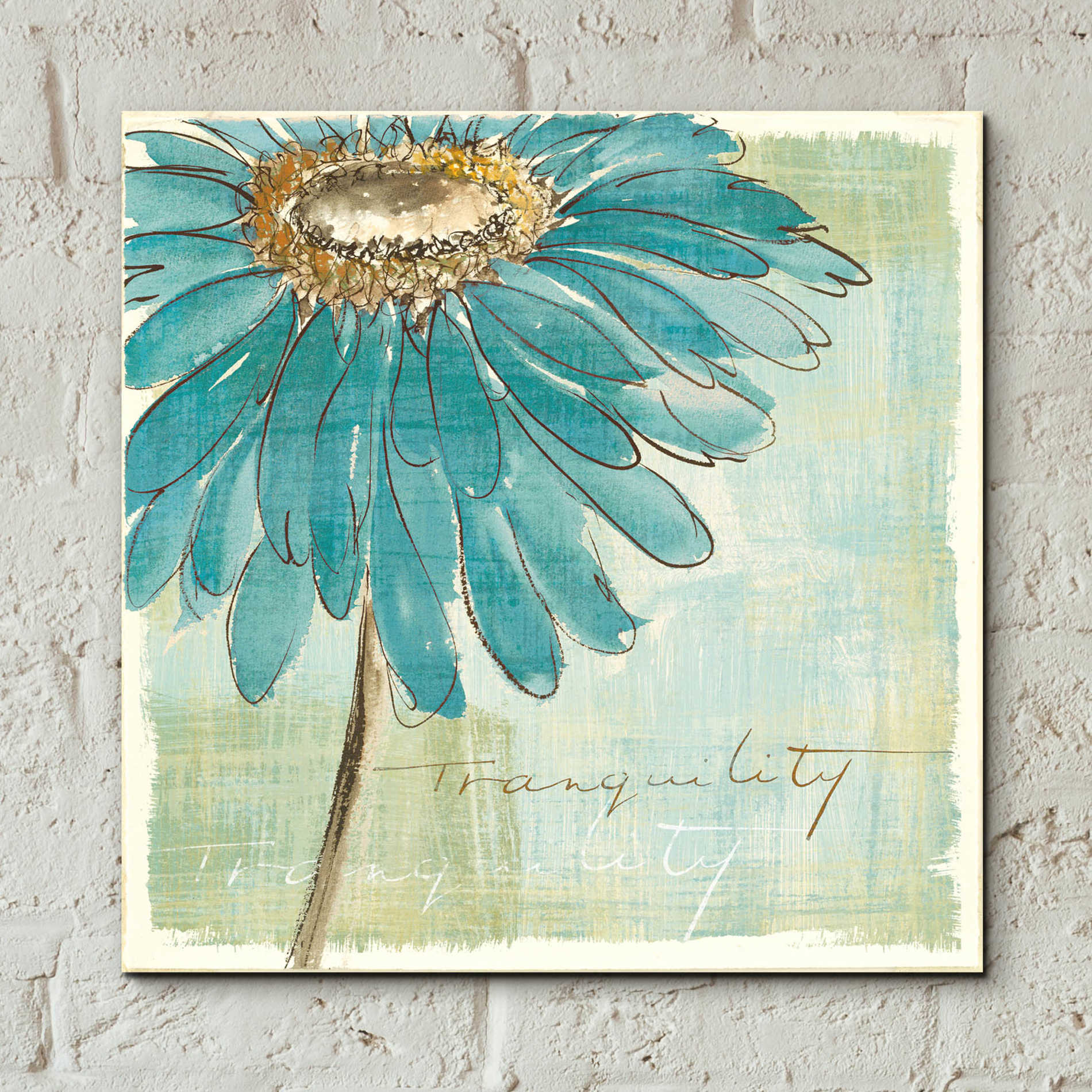 Epic Art 'Spa Daisies III' by Chris Paschke, Acrylic Glass Wall Art,12x12