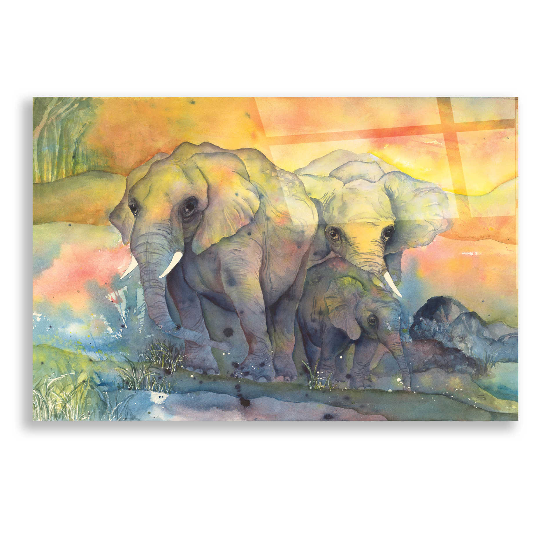 Epic Art 'Elephants Crop' by Chris Paschke, Acrylic Glass Wall Art,24x16