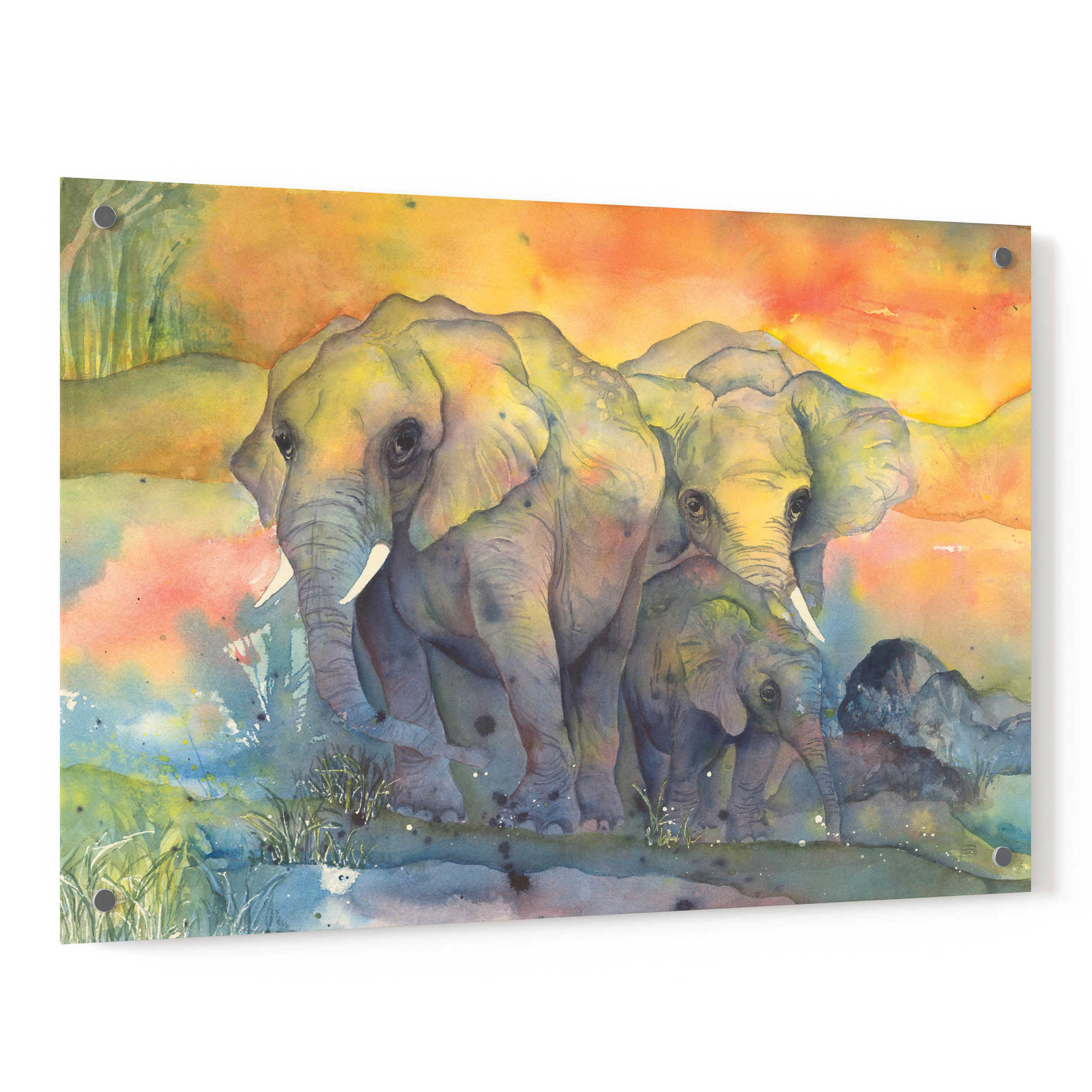 Epic Art 'Elephants Crop' by Chris Paschke, Acrylic Glass Wall Art,36x24