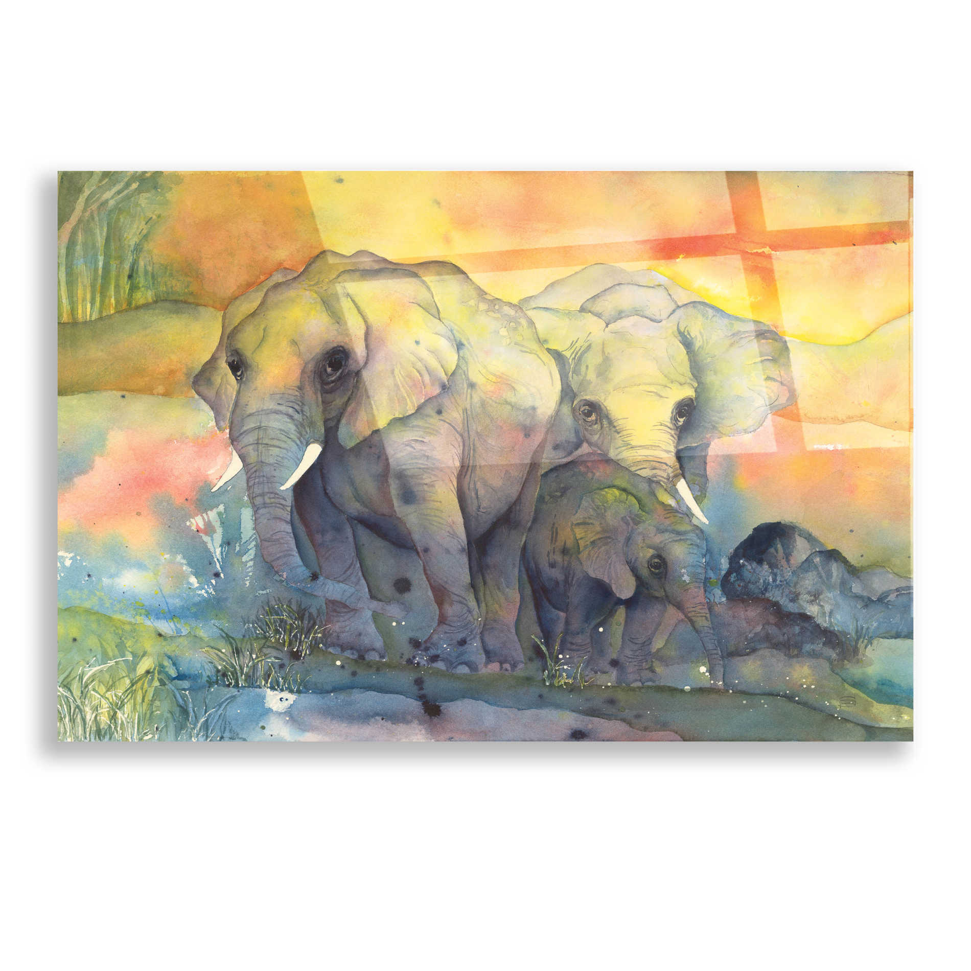 Epic Art 'Elephants Crop' by Chris Paschke, Acrylic Glass Wall Art