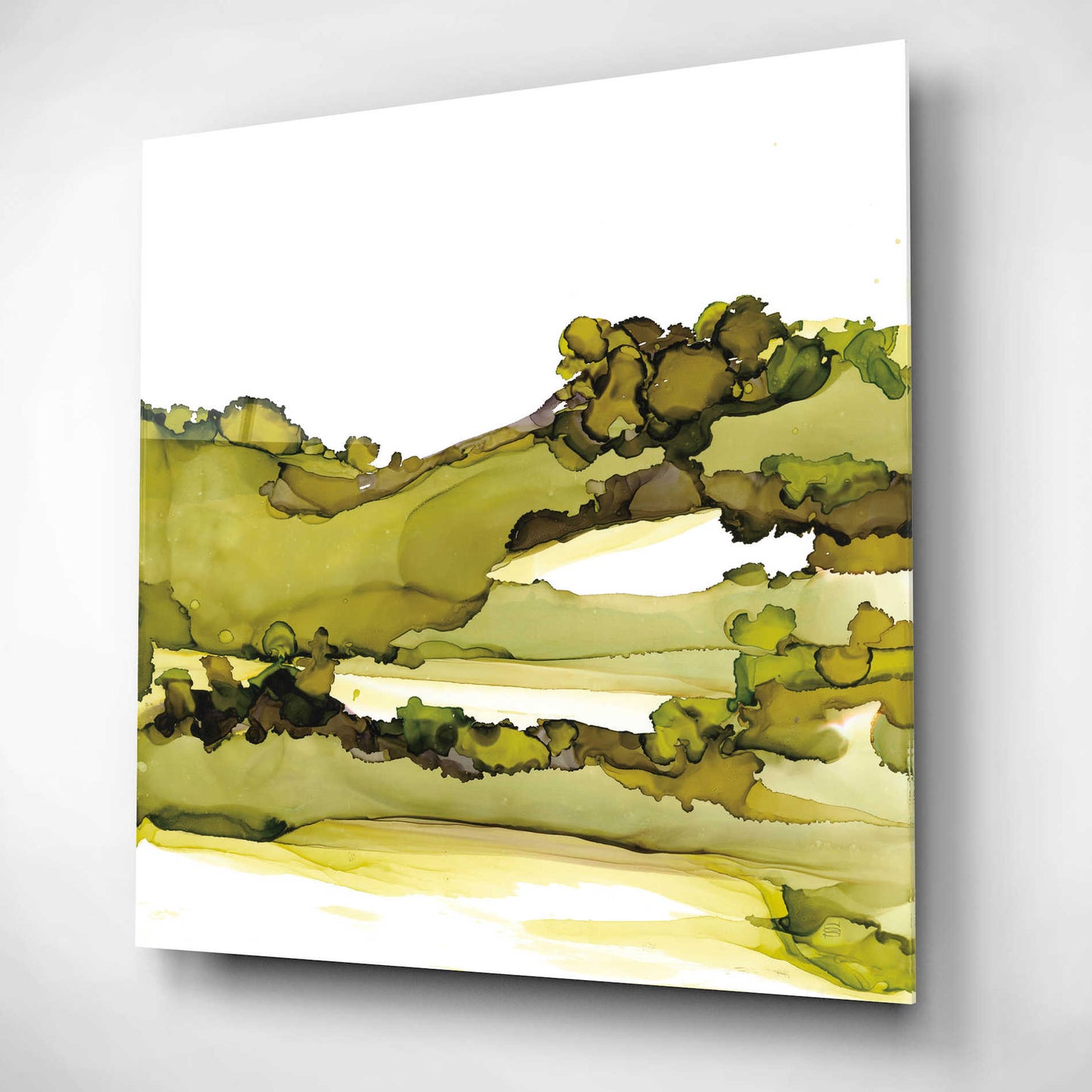 Epic Art 'Greenscape I' by Chris Paschke, Acrylic Glass Wall Art,12x12