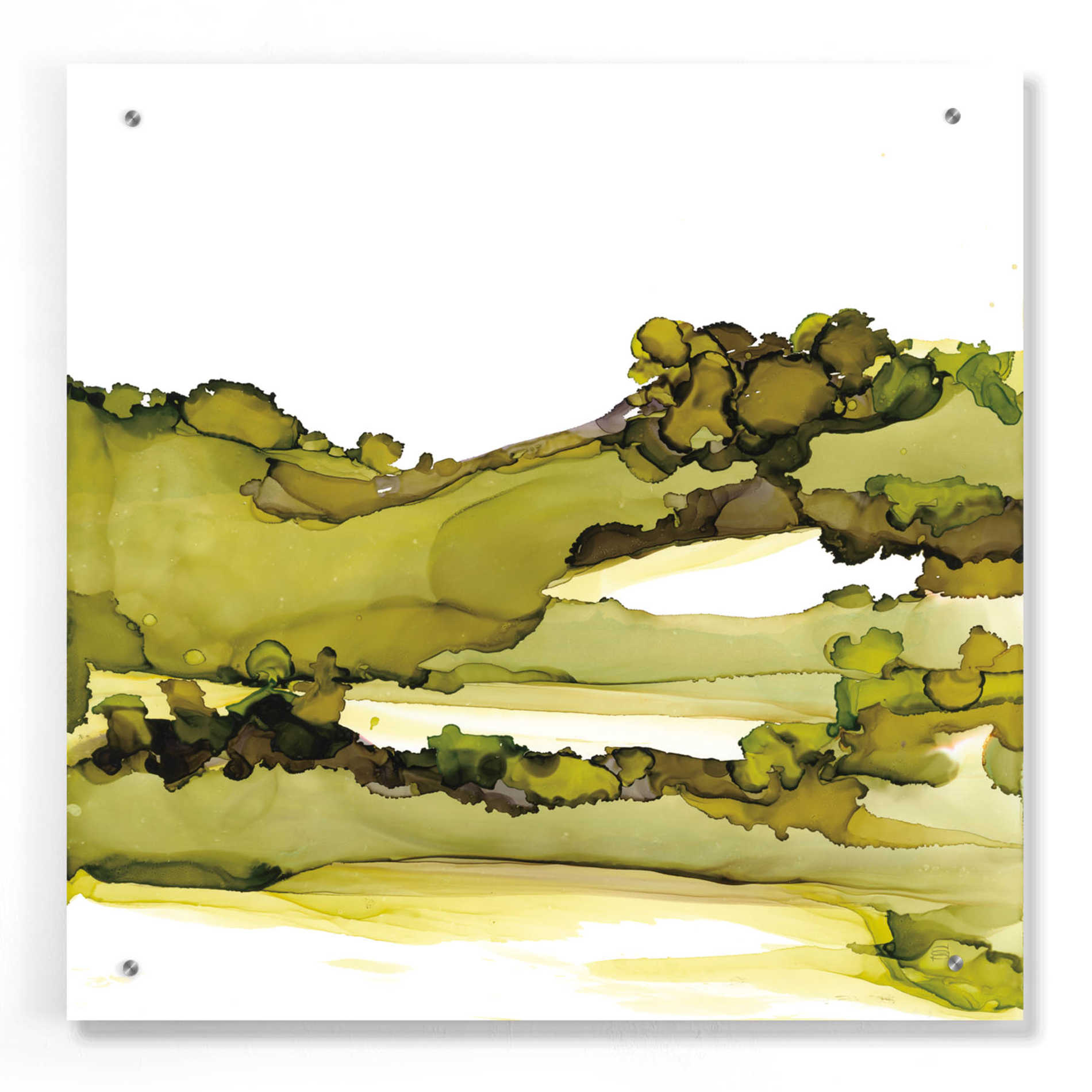 Epic Art 'Greenscape I' by Chris Paschke, Acrylic Glass Wall Art,24x24
