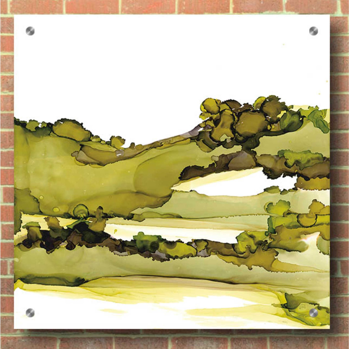 Epic Art 'Greenscape I' by Chris Paschke, Acrylic Glass Wall Art,36x36