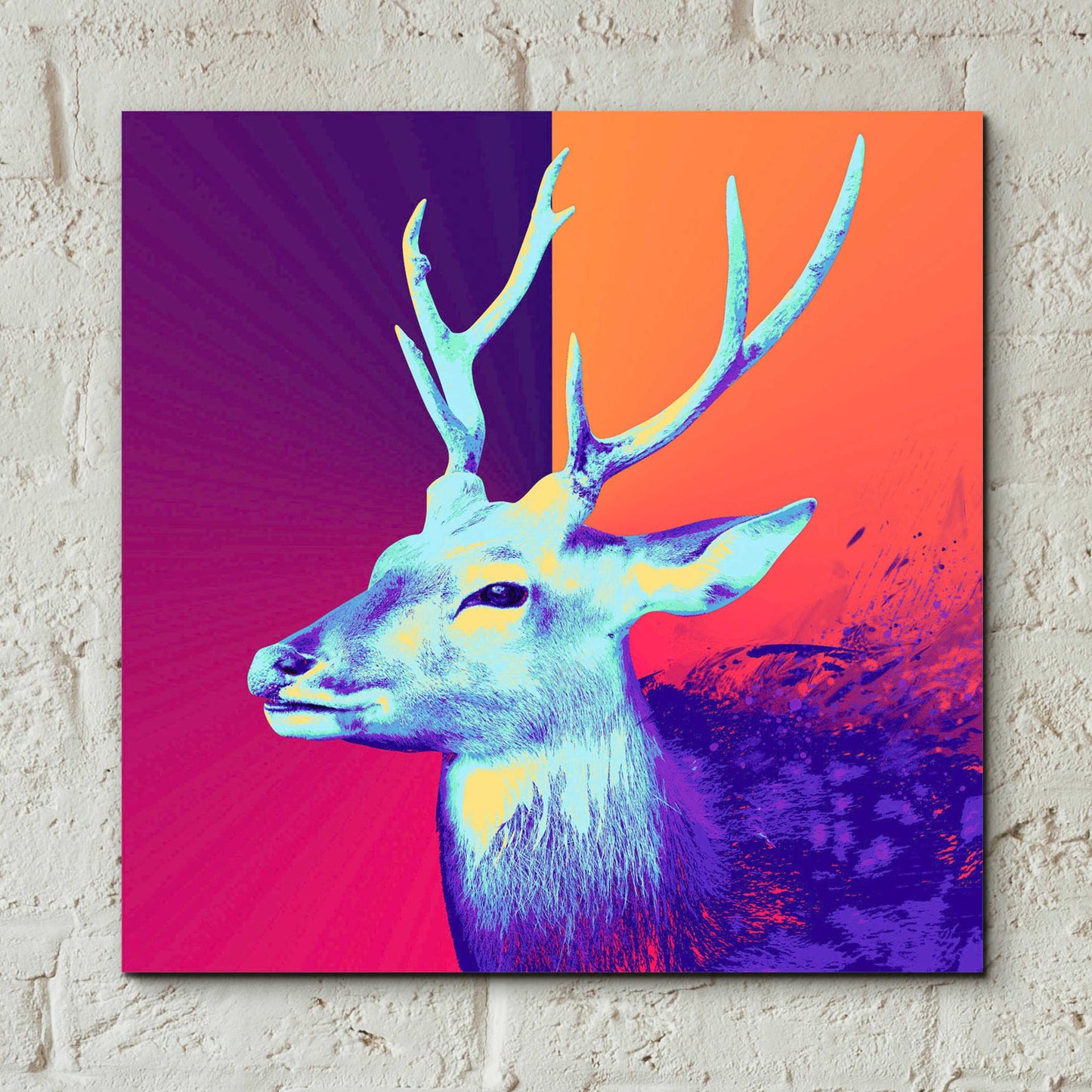 Epic Art 'A Deer', Acrylic Glass Wall Art,12x12