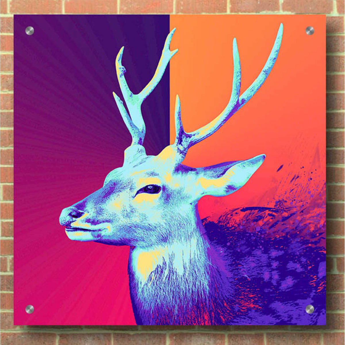 Epic Art 'A Deer', Acrylic Glass Wall Art,36x36