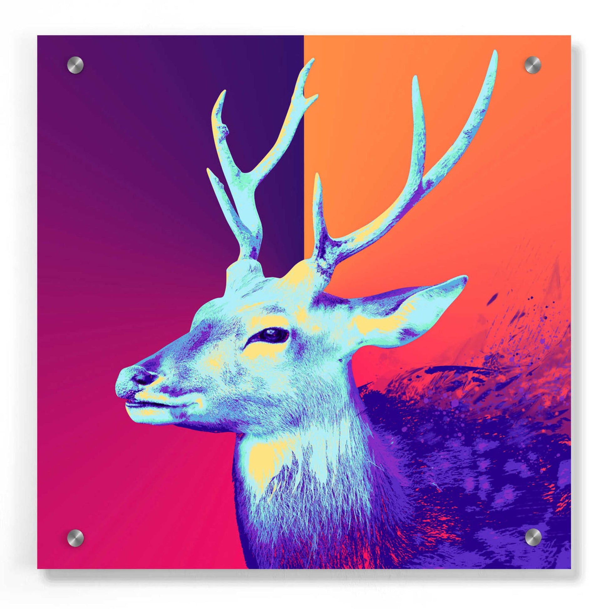 Epic Art 'A Deer', Acrylic Glass Wall Art,36x36