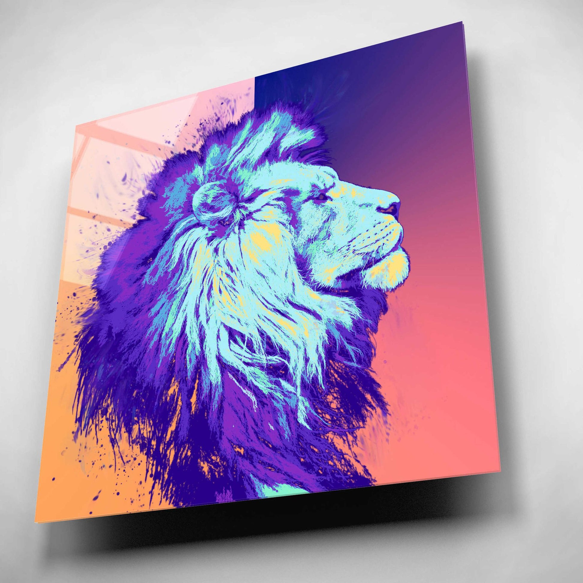 Epic Art 'A Lion', Acrylic Glass Wall Art,12x12