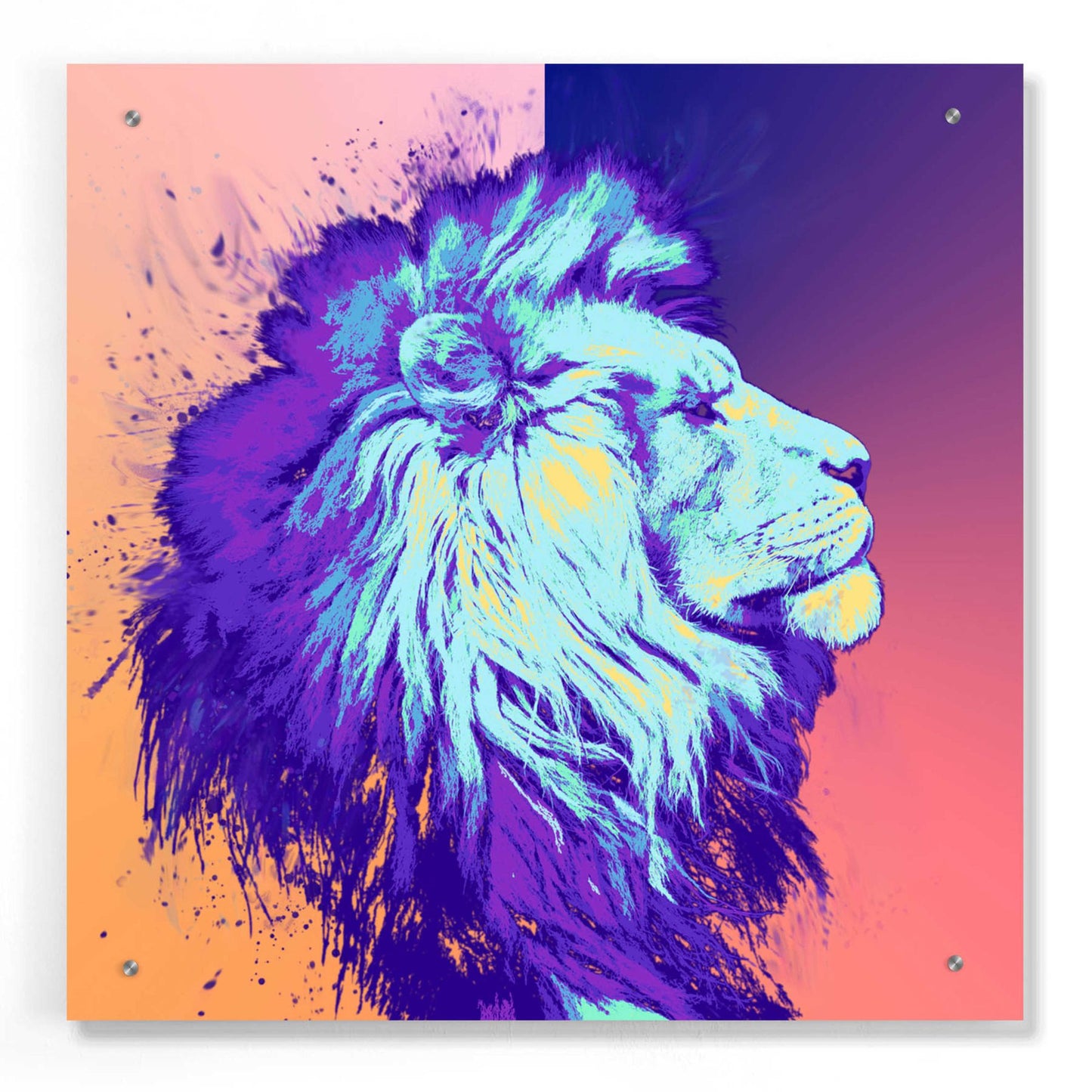 Epic Art 'A Lion', Acrylic Glass Wall Art,24x24