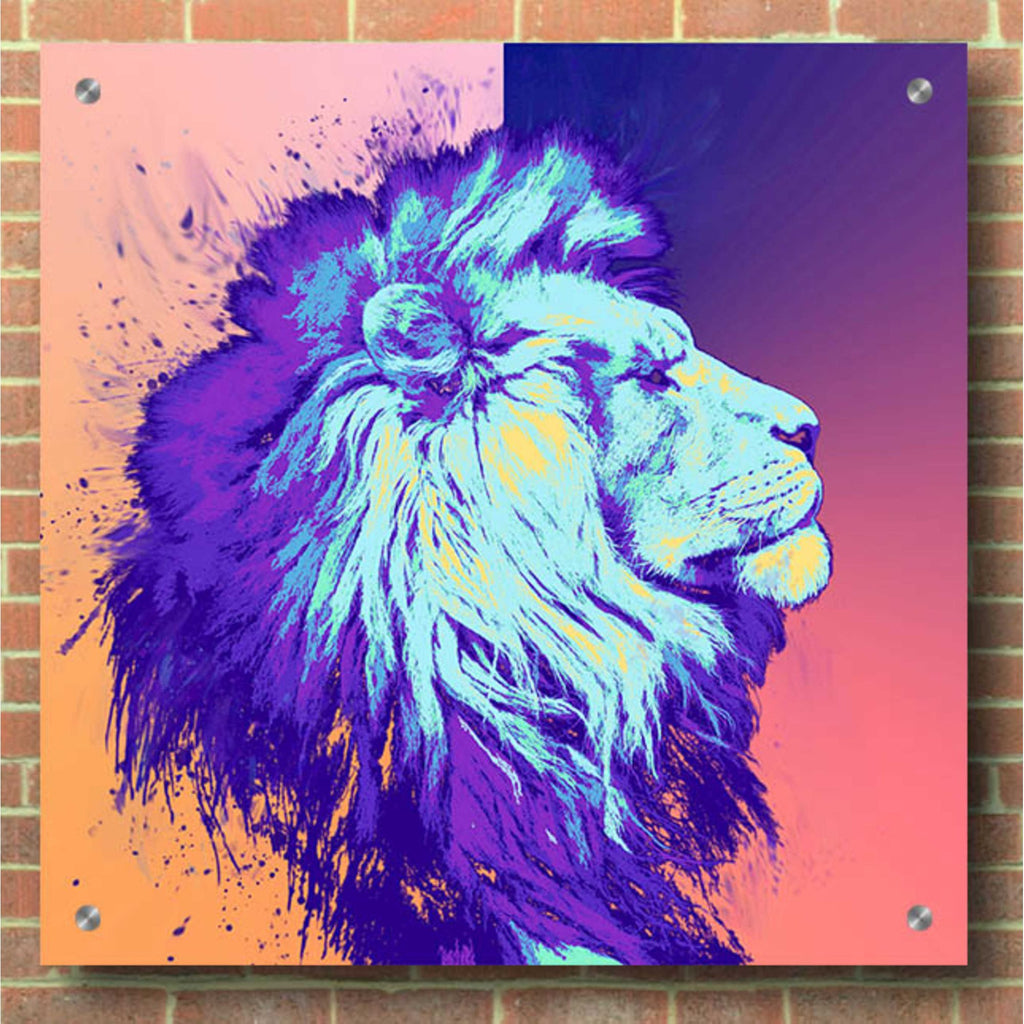 Epic Art 'A Lion', Acrylic Glass Wall Art,36x36