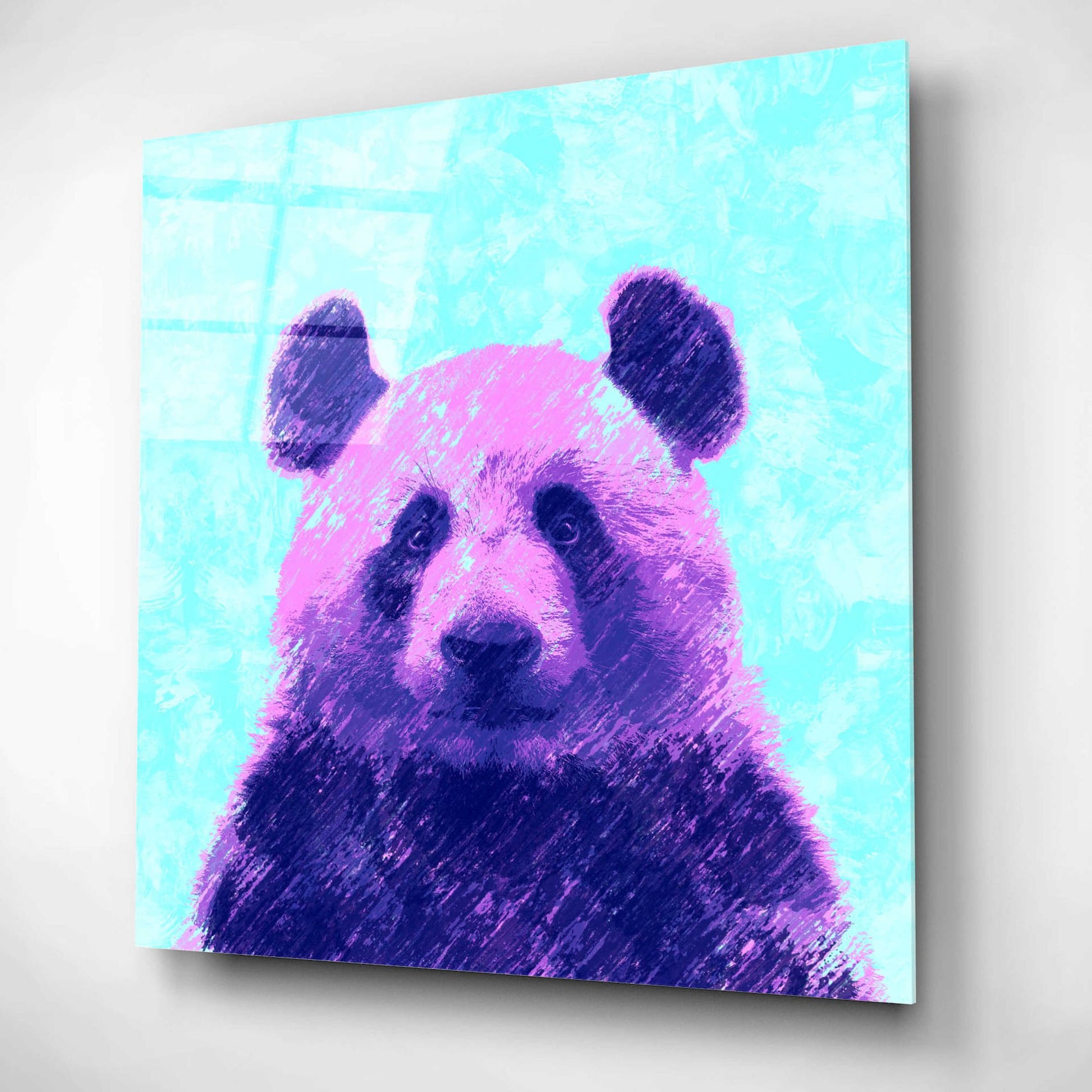 Epic Art 'Fluffy', Acrylic Glass Wall Art,12x12