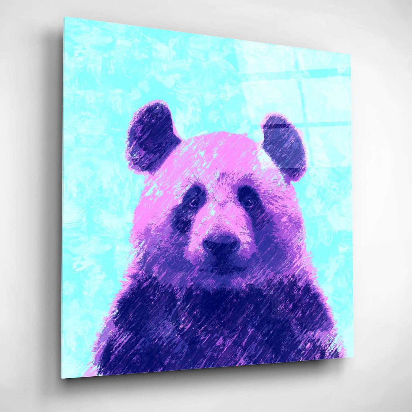 Epic Art 'Fluffy', Acrylic Glass Wall Art,12x12