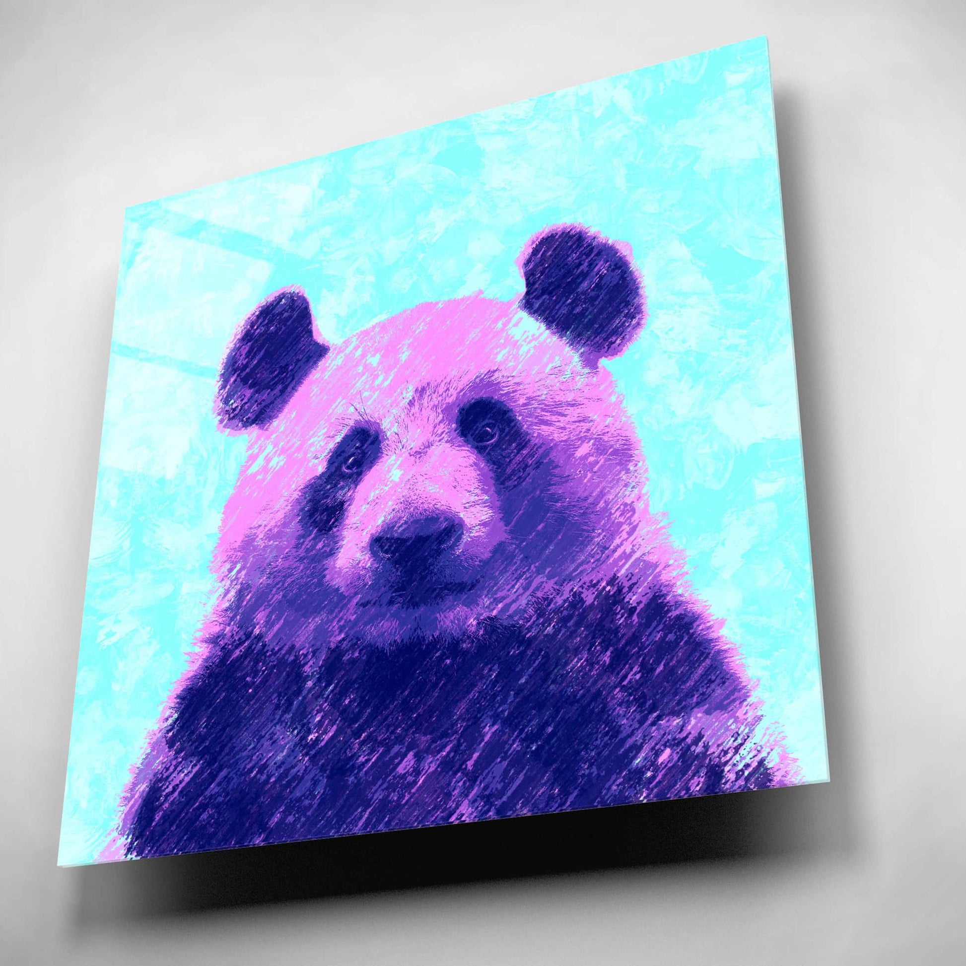 Epic Art 'Fluffy', Acrylic Glass Wall Art,12x12