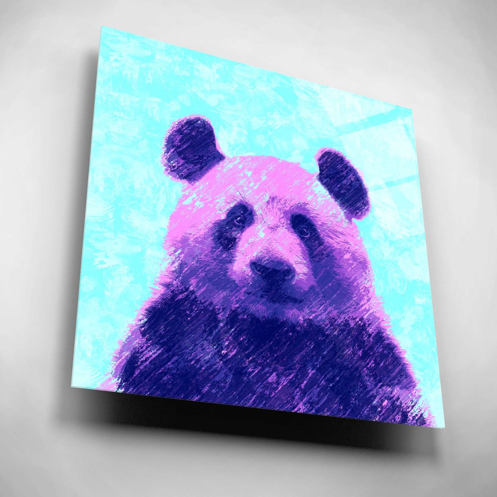 Epic Art 'Fluffy', Acrylic Glass Wall Art,12x12