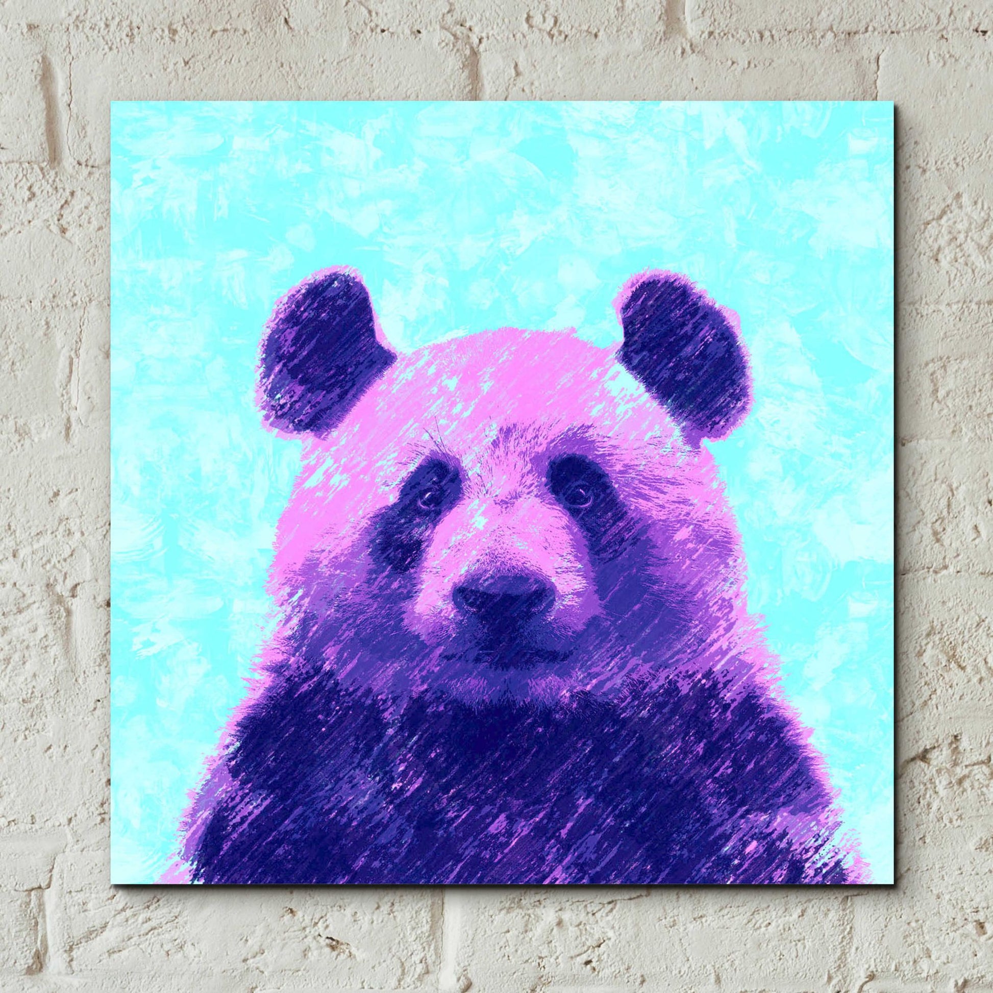 Epic Art 'Fluffy', Acrylic Glass Wall Art,12x12