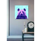 Epic Art 'Fluffy', Acrylic Glass Wall Art,24x24