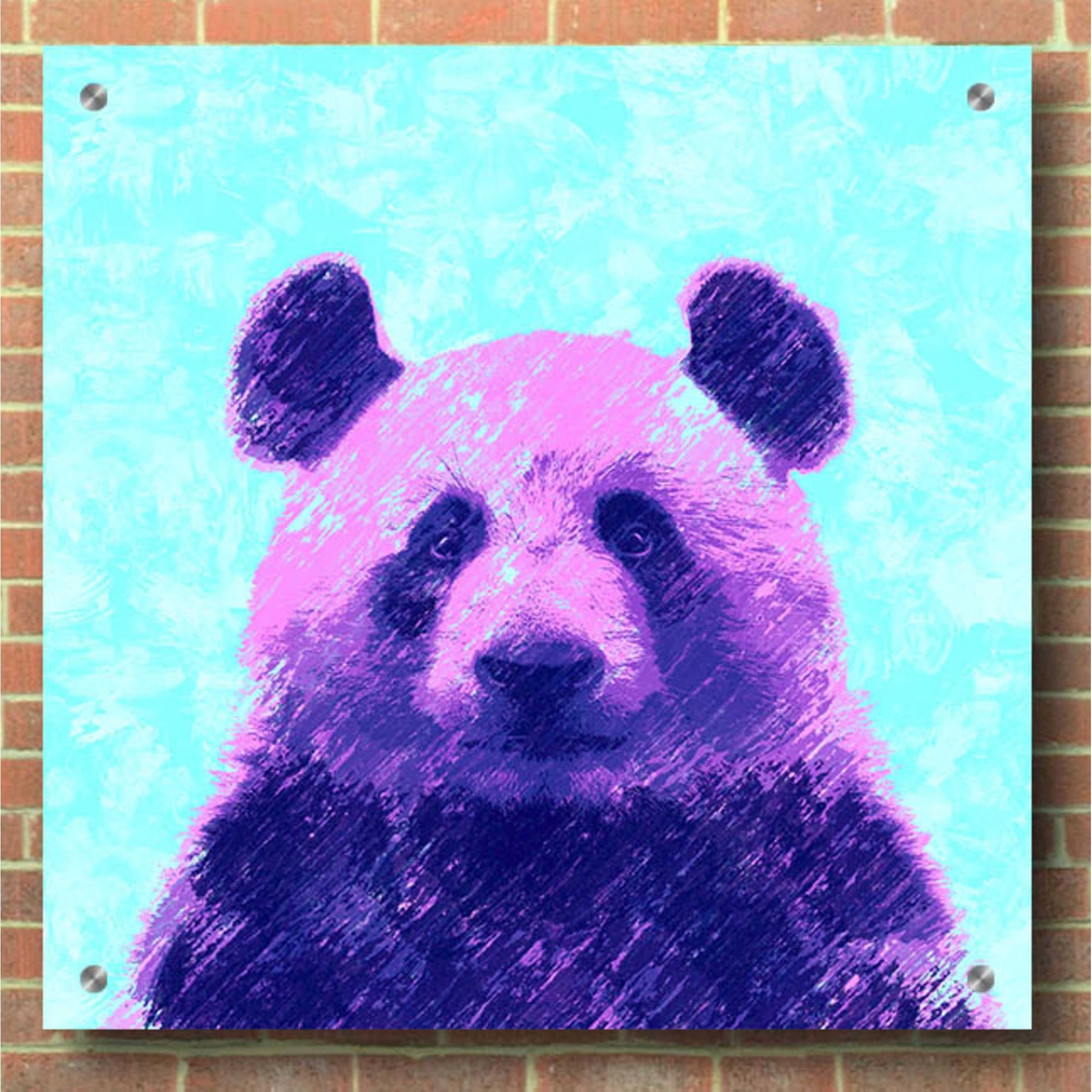 Epic Art 'Fluffy', Acrylic Glass Wall Art,36x36