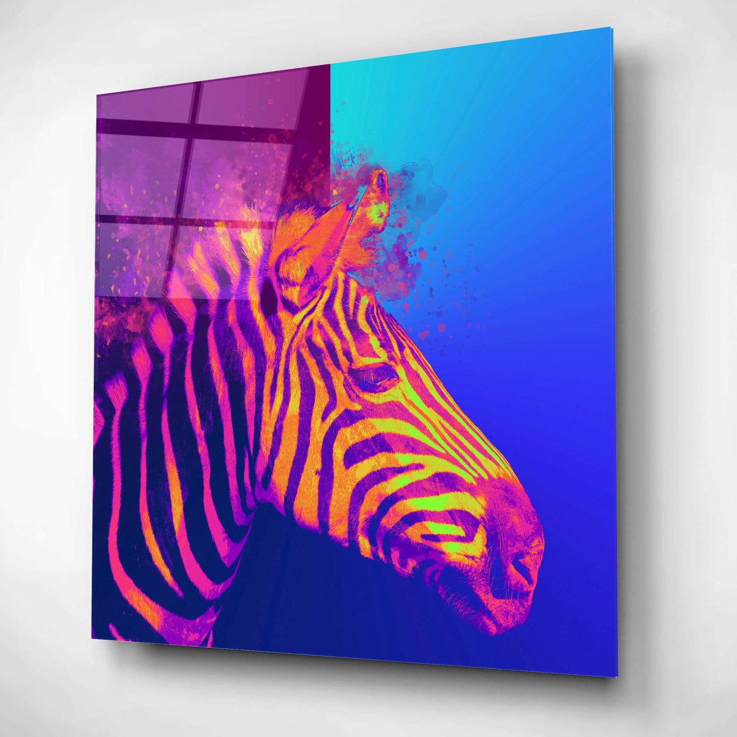 Epic Art 'Zebra Crush,' Acrylic Glass Wall Art,12x12