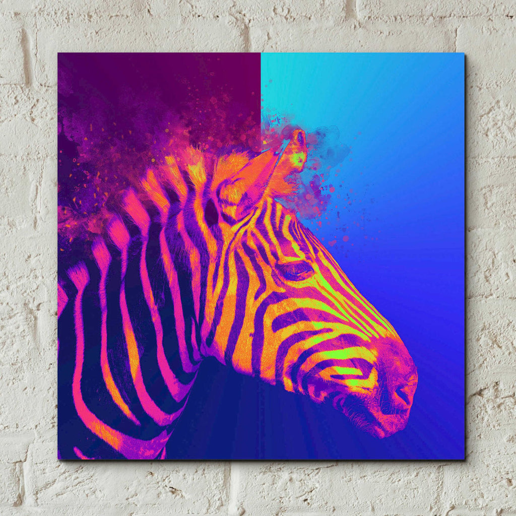Epic Art 'Zebra Crush,' Acrylic Glass Wall Art,12x12