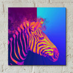Epic Art 'Zebra Crush,' Acrylic Glass Wall Art,12x12