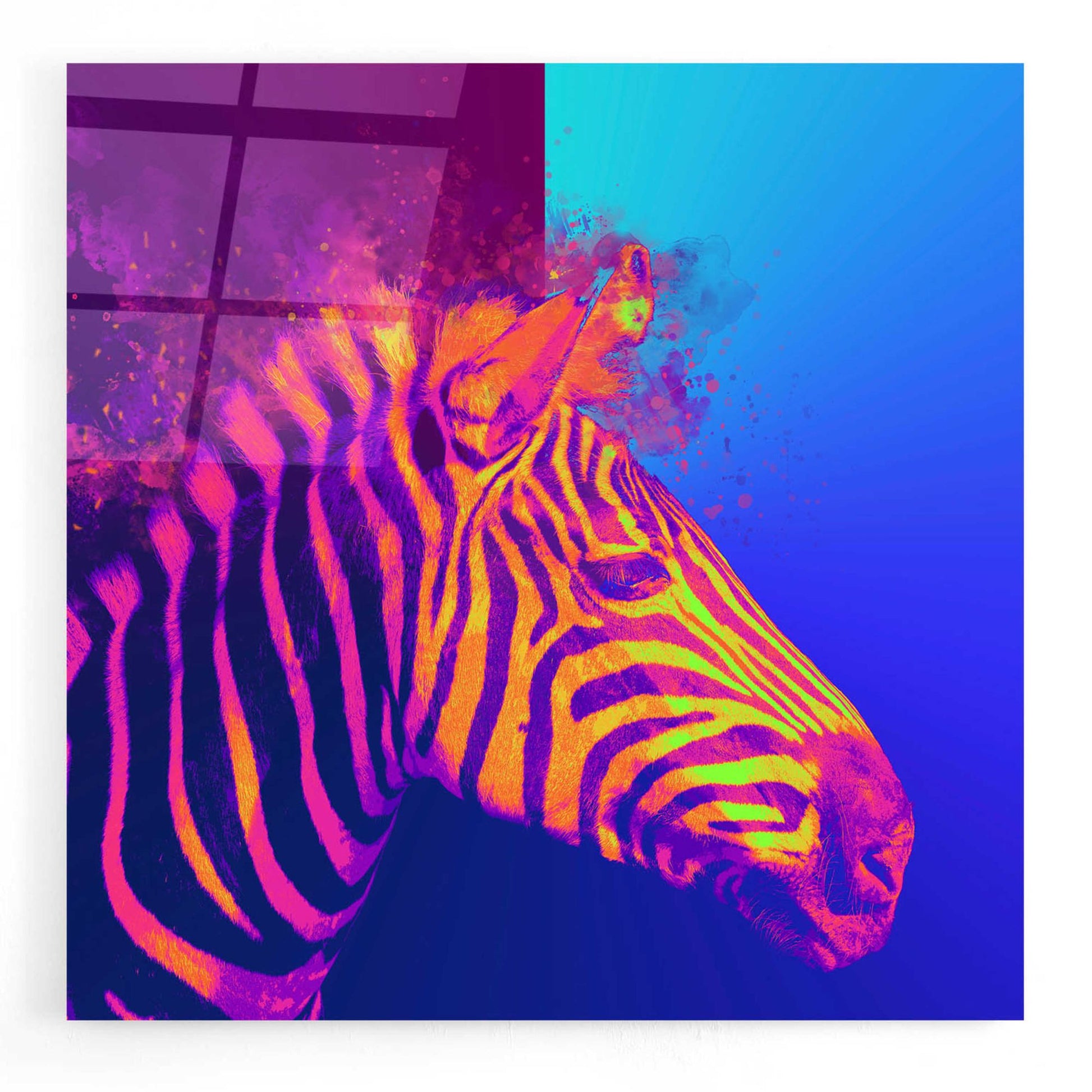 Epic Art 'Zebra Crush,' Acrylic Glass Wall Art,12x12