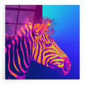 Epic Art 'Zebra Crush,' Acrylic Glass Wall Art