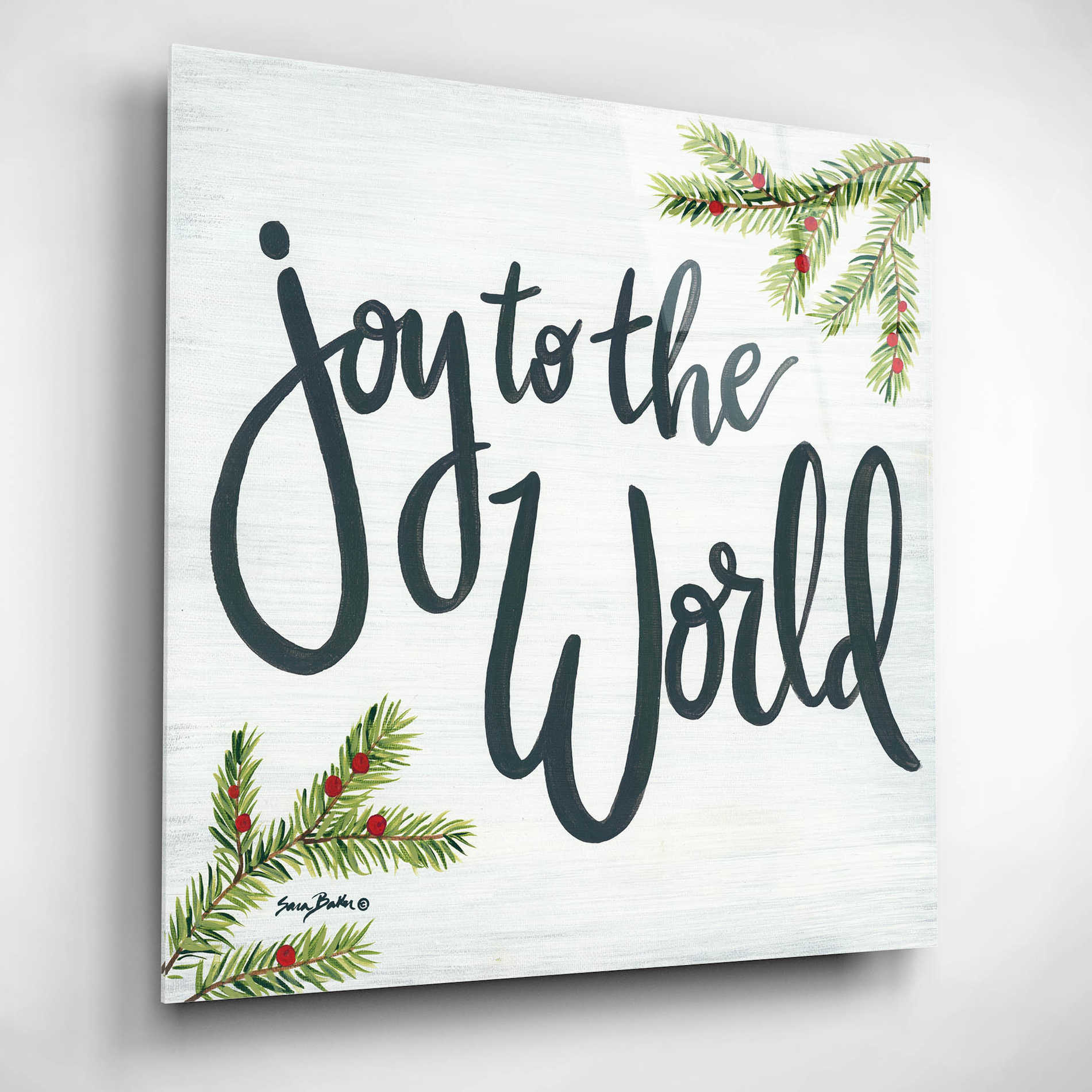 Epic Art 'Joy to the World' by Sara Baker, Acrylic Glass Wall Art,12x12