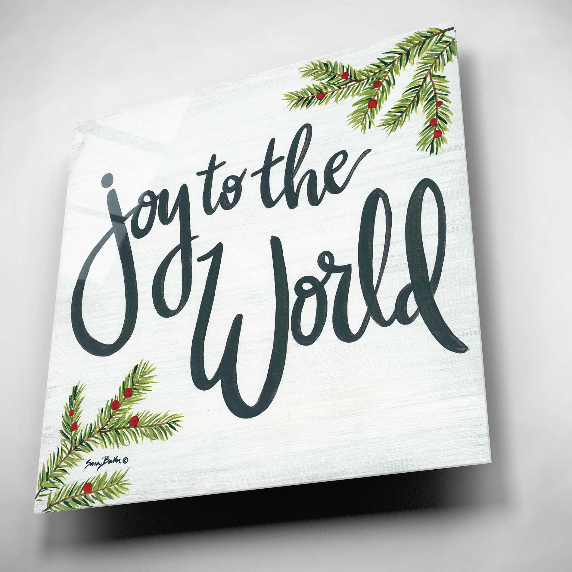 Epic Art 'Joy to the World' by Sara Baker, Acrylic Glass Wall Art,12x12