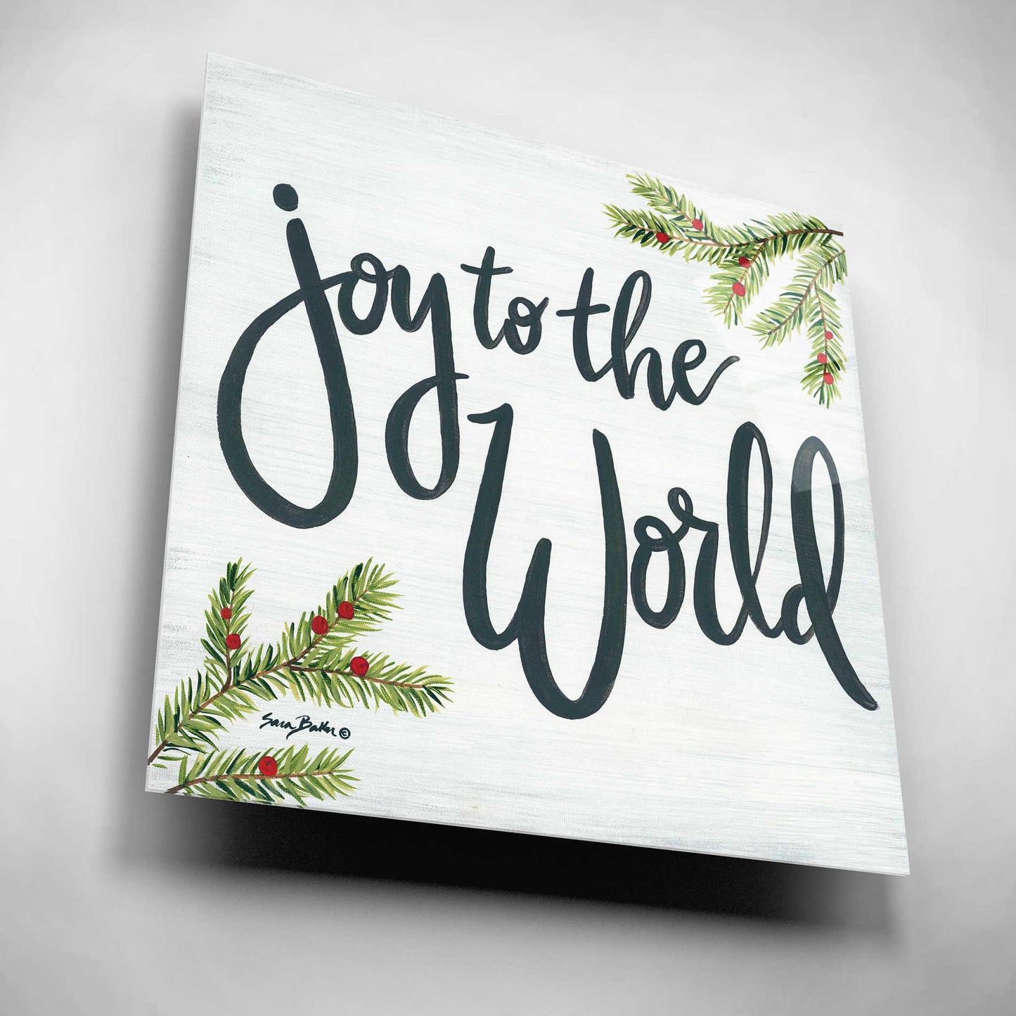 Epic Art 'Joy to the World' by Sara Baker, Acrylic Glass Wall Art,12x12