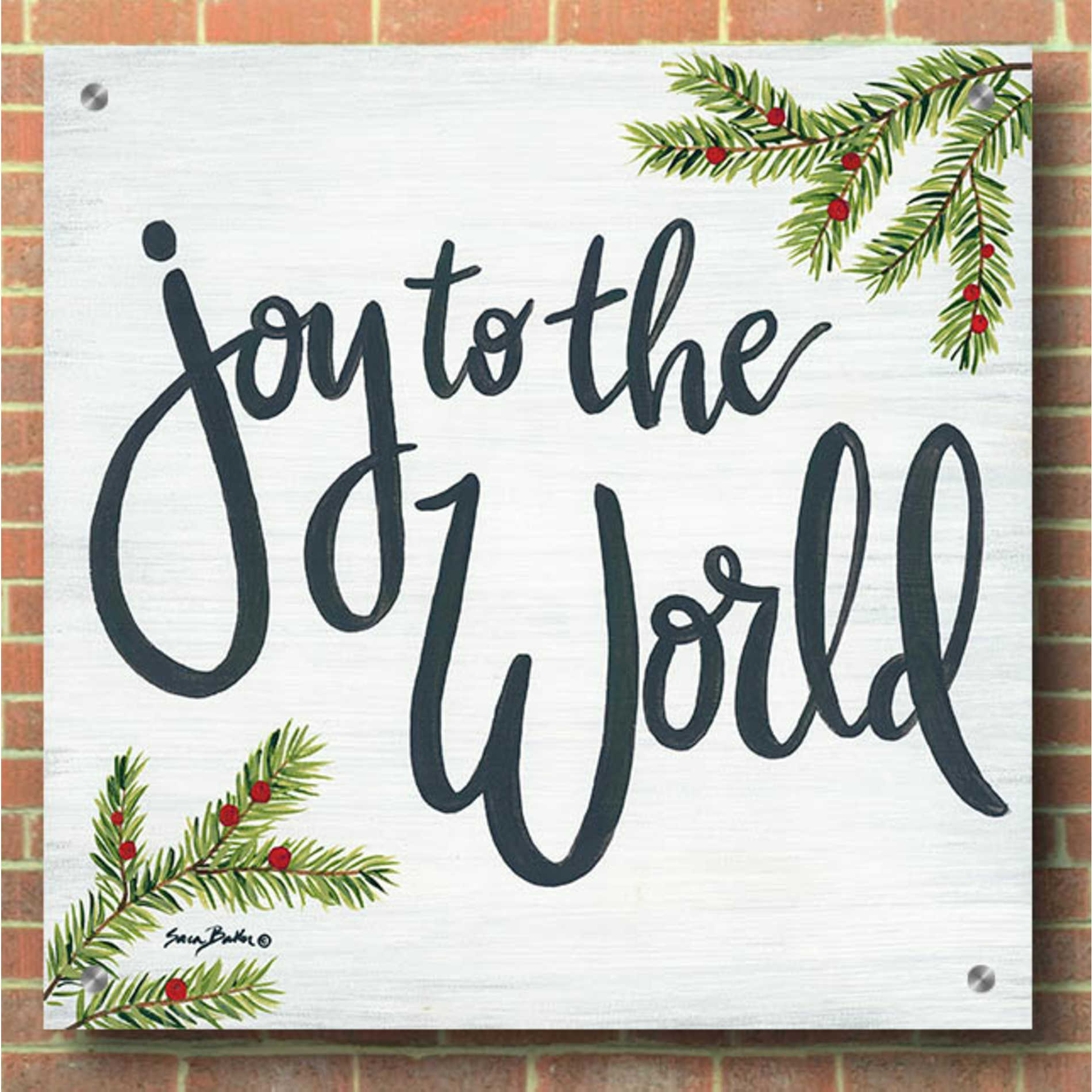 Epic Art 'Joy to the World' by Sara Baker, Acrylic Glass Wall Art,36x36