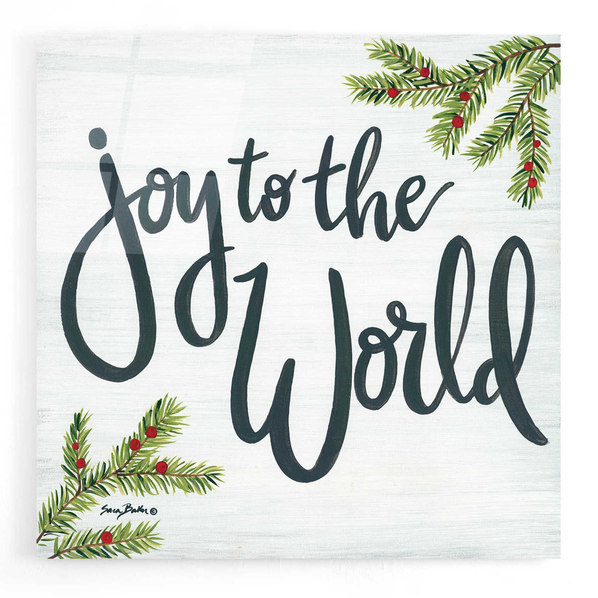 Epic Art 'Joy to the World' by Sara Baker, Acrylic Glass Wall Art