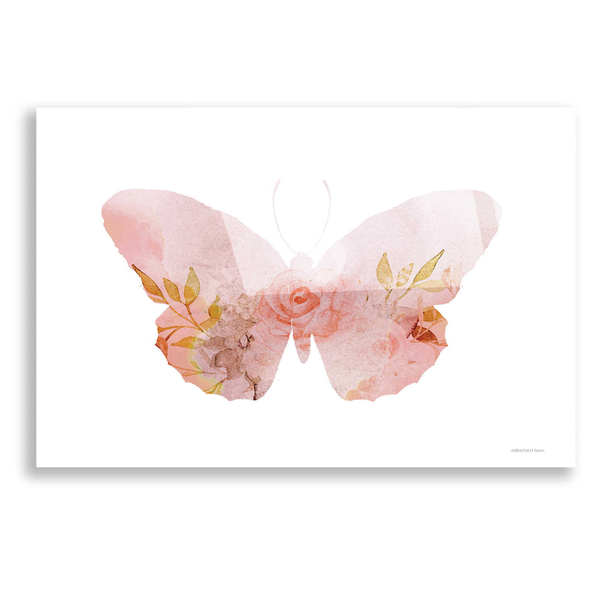 Epic Art 'Meadow Flora Butterfly' by Bluebird Barn, Acrylic Glass Wall Art