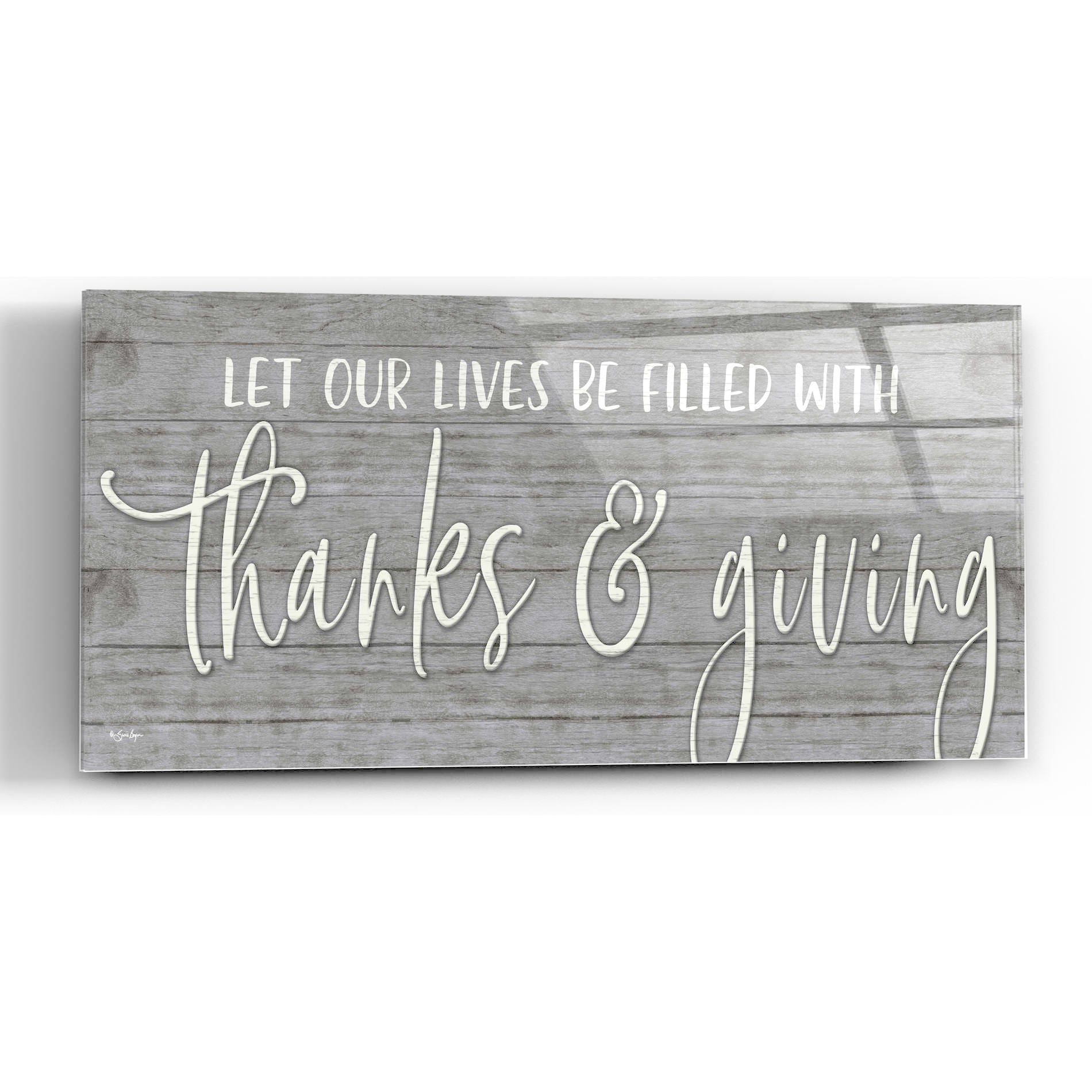 Epic Art 'Thanks & Giving' by Susie Boyer, Acrylic Glass Wall Art,48x16