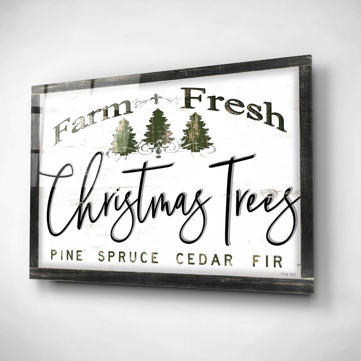 Epic Art 'Farm Fresh Christmas Trees II' by Cindy Jacobs, Acrylic Glass Wall Art,16x12