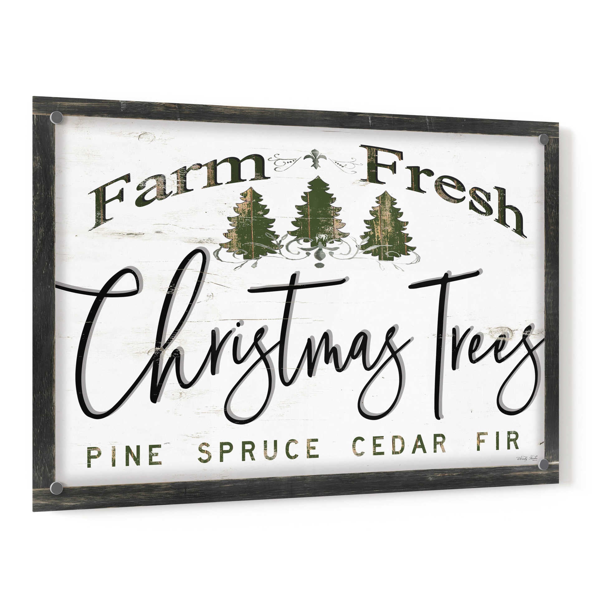 Epic Art 'Farm Fresh Christmas Trees II' by Cindy Jacobs, Acrylic Glass Wall Art,36x24