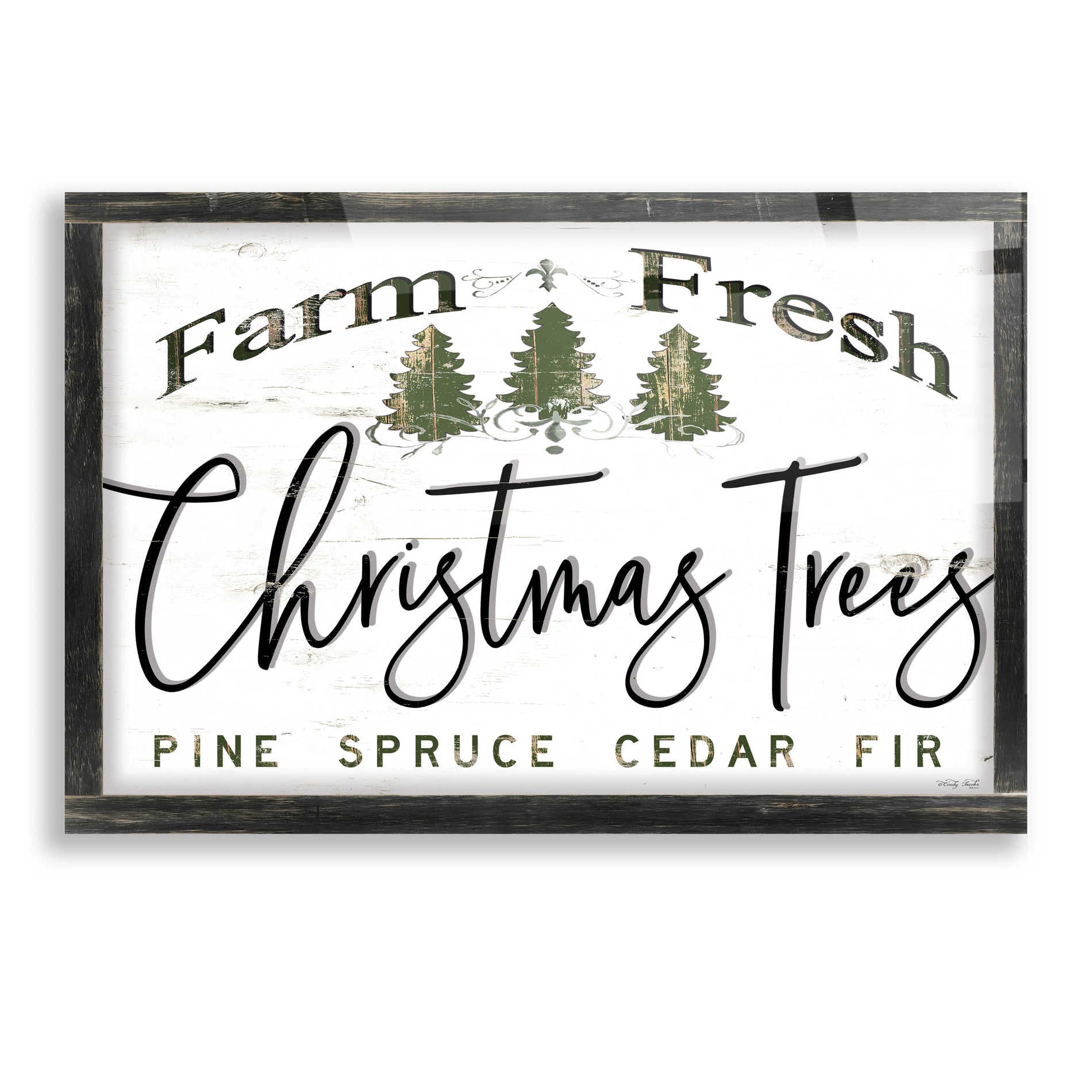 Epic Art 'Farm Fresh Christmas Trees II' by Cindy Jacobs, Acrylic Glass Wall Art