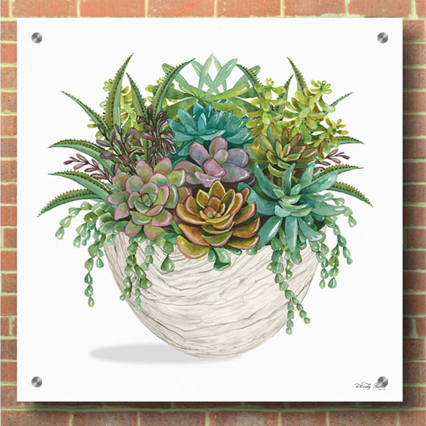 Epic Art 'White Wood Succulent II' by Cindy Jacobs, Acrylic Glass Wall Art,36x36