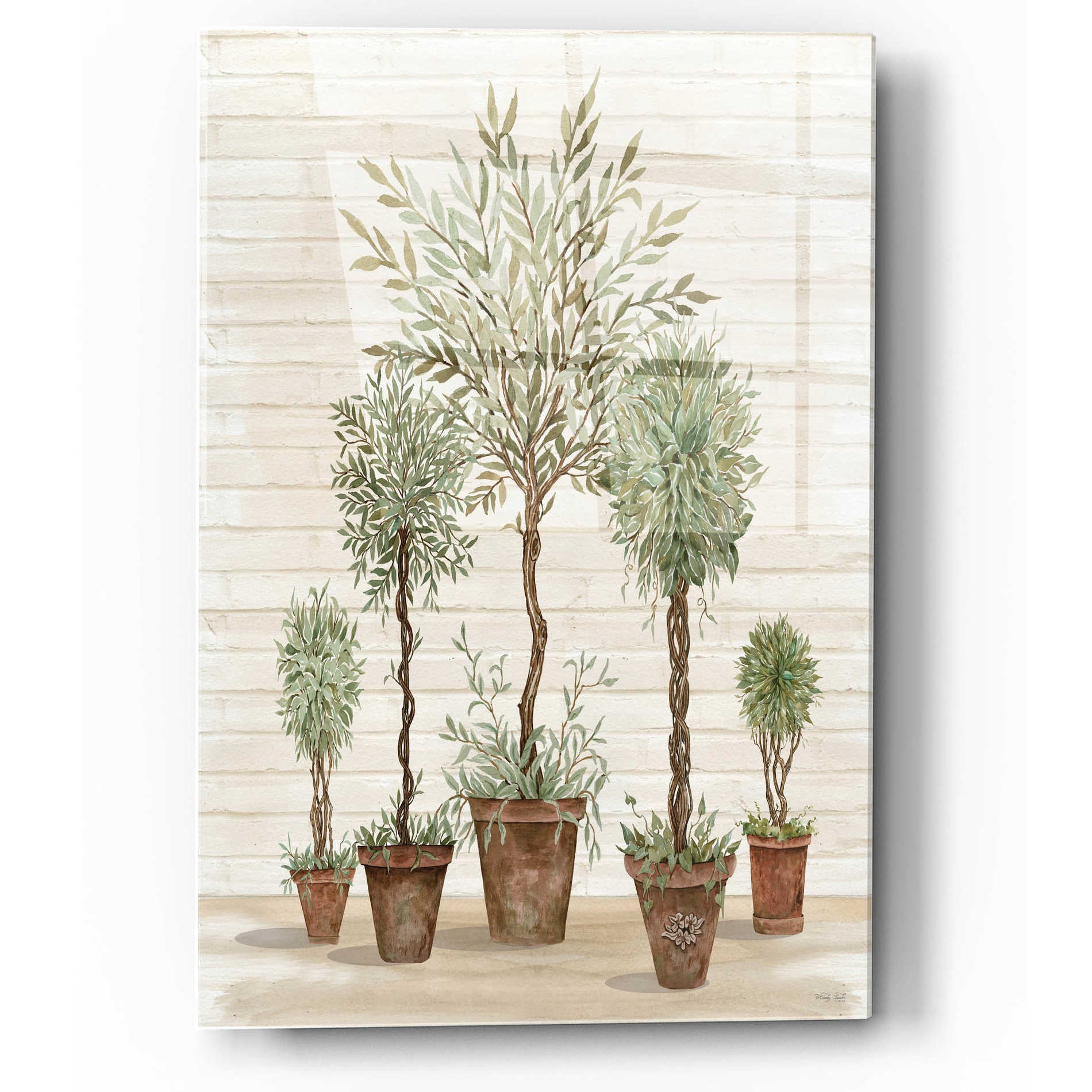 Epic Art 'Potted Tree Collection' by Cindy Jacobs, Acrylic Glass Wall Art,12x16