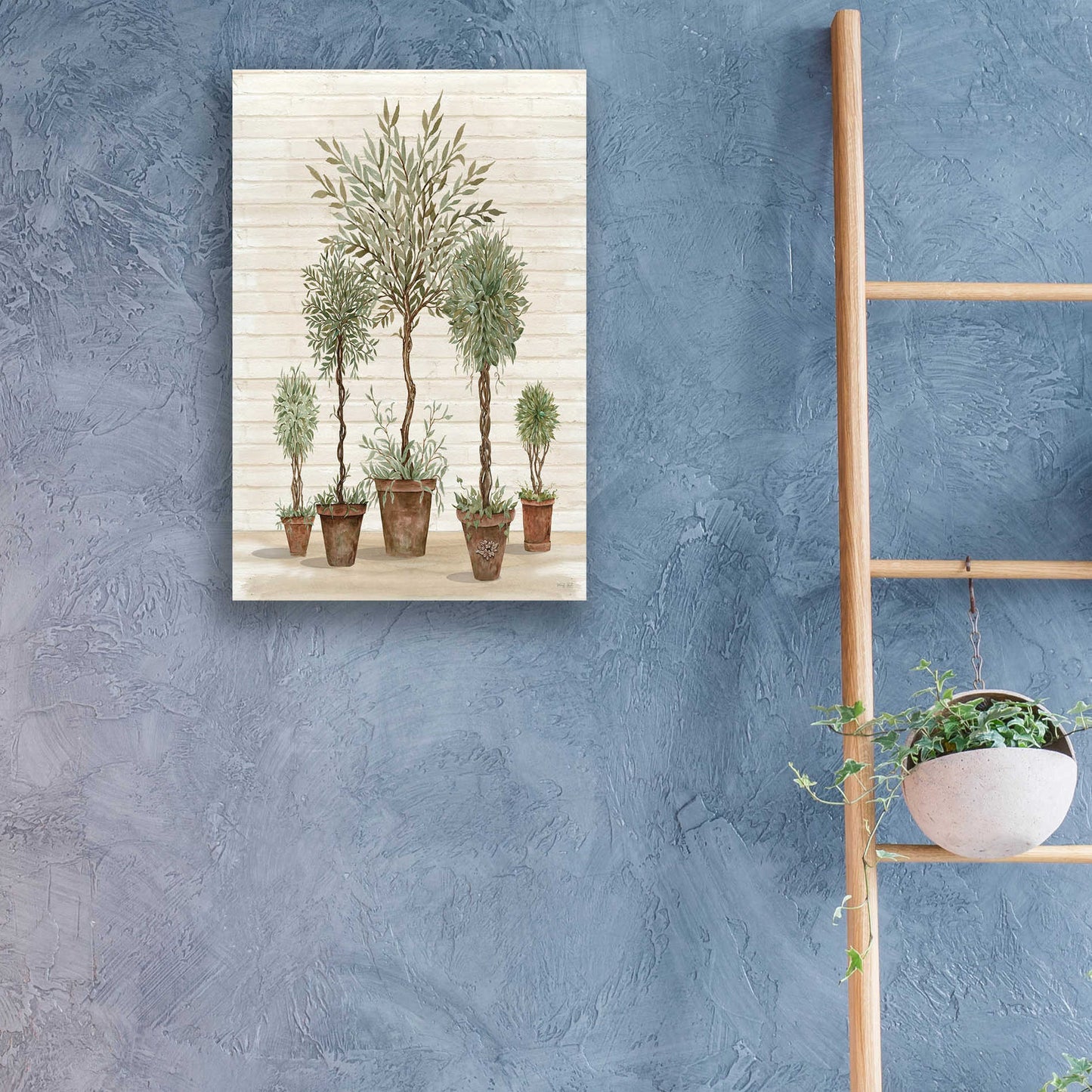 Epic Art 'Potted Tree Collection' by Cindy Jacobs, Acrylic Glass Wall Art,16x24