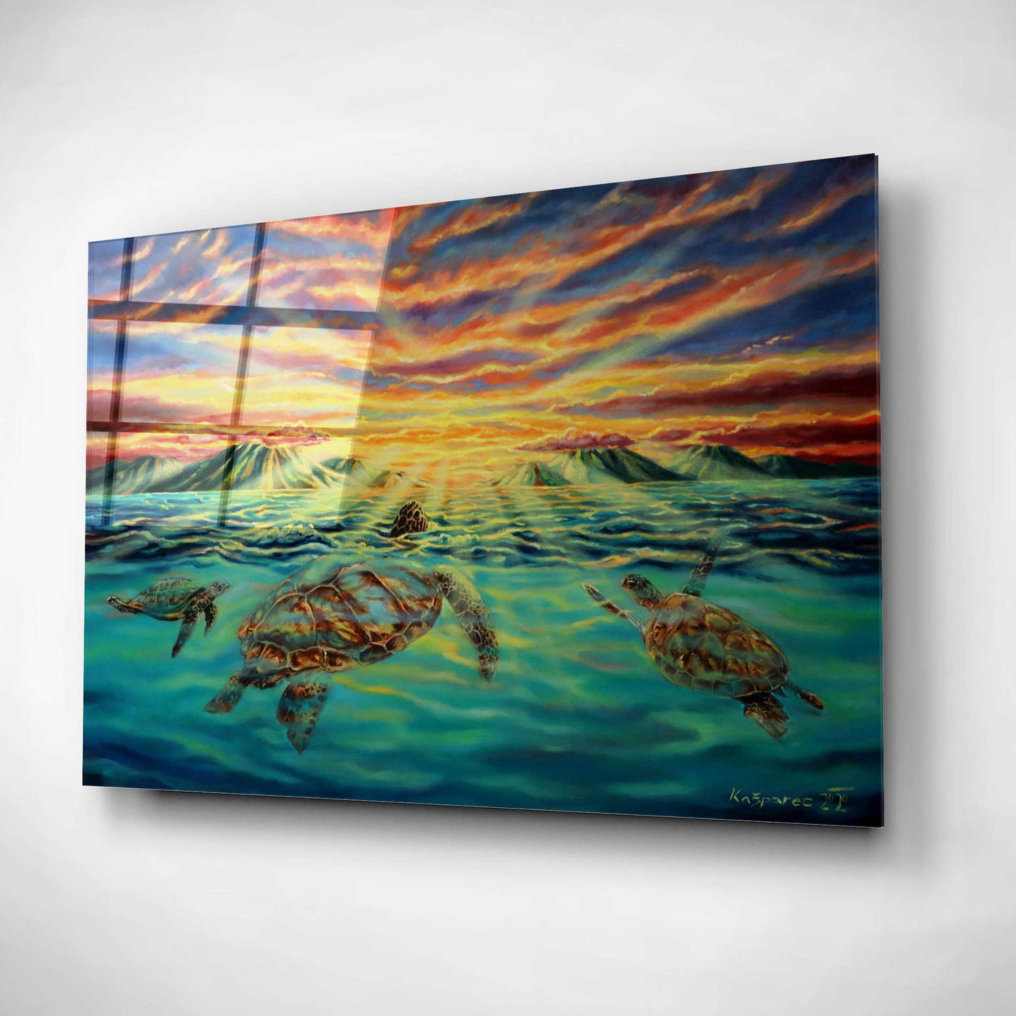 Epic Art 'Turtle Sunset' by Jan Kasparec, Acrylic Glass Wall Art,16x12