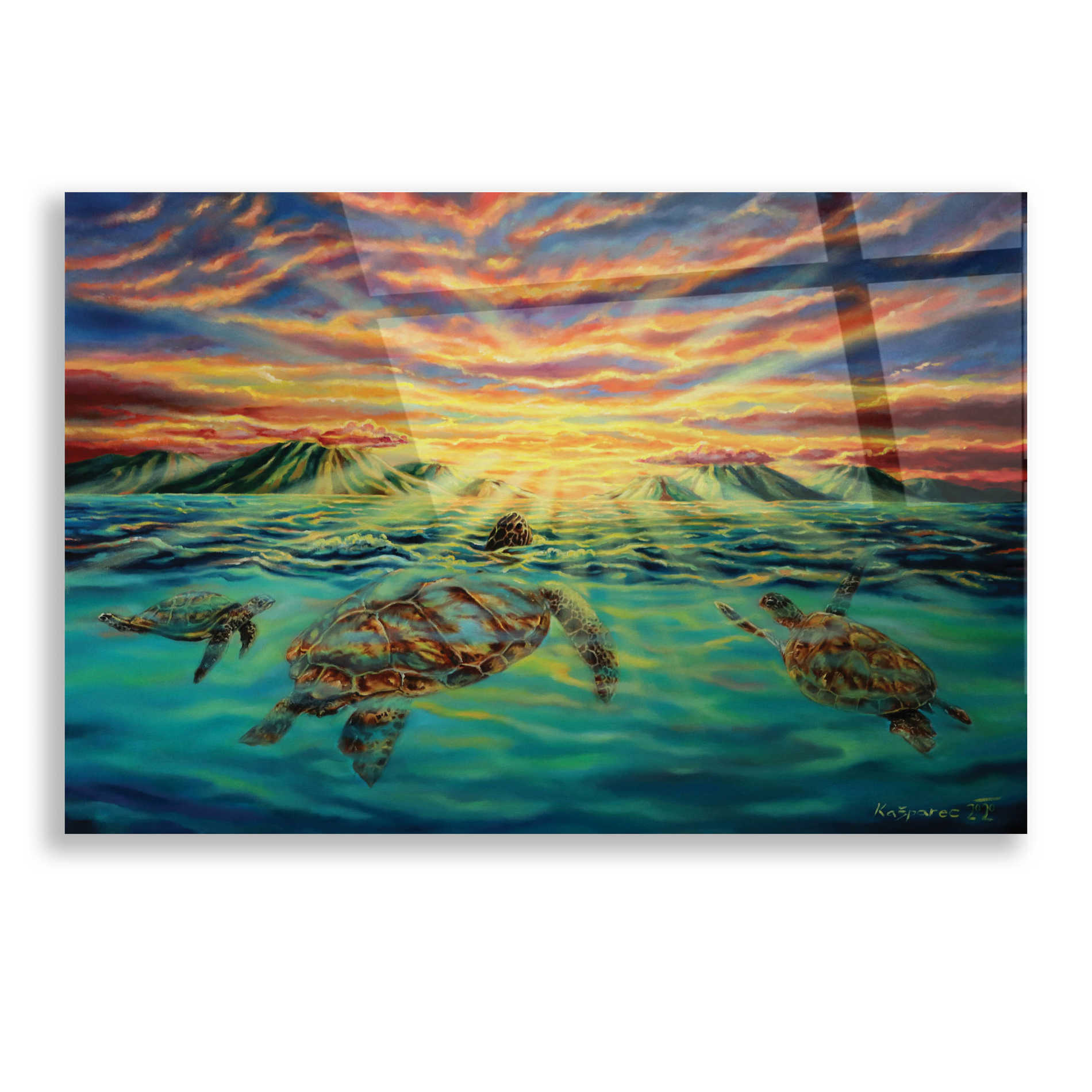 Epic Art 'Turtle Sunset' by Jan Kasparec, Acrylic Glass Wall Art