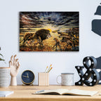 Epic Art 'Lion Hyenas' by Jan Kasparec, Acrylic Glass Wall Art,16x12